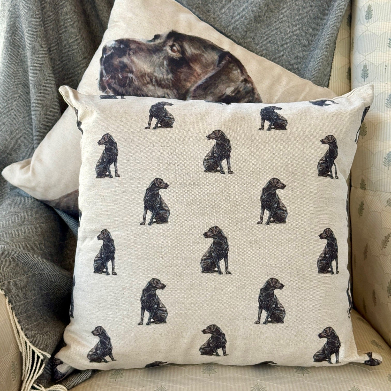 Black Lab - Cushion