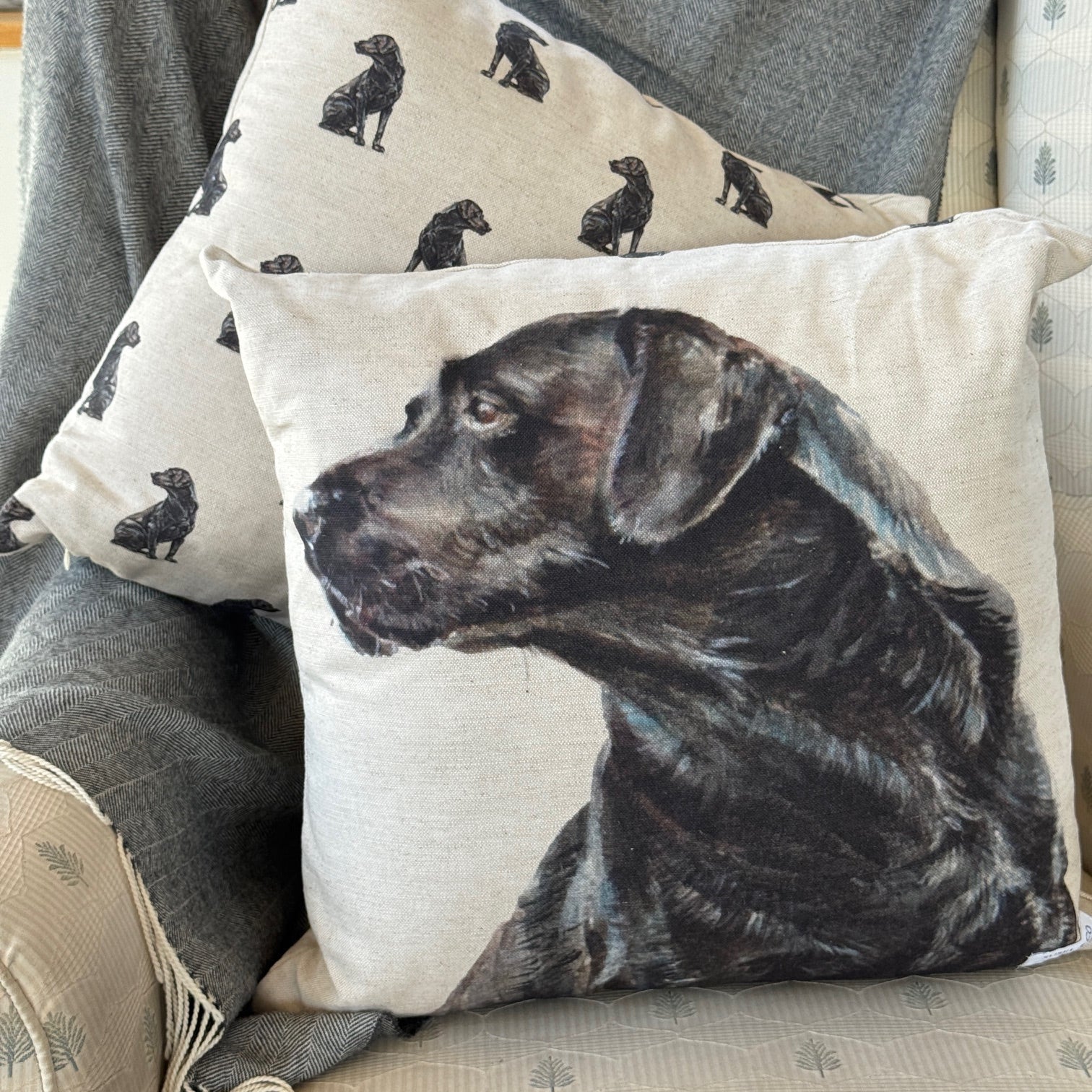 Black Lab - Cushion