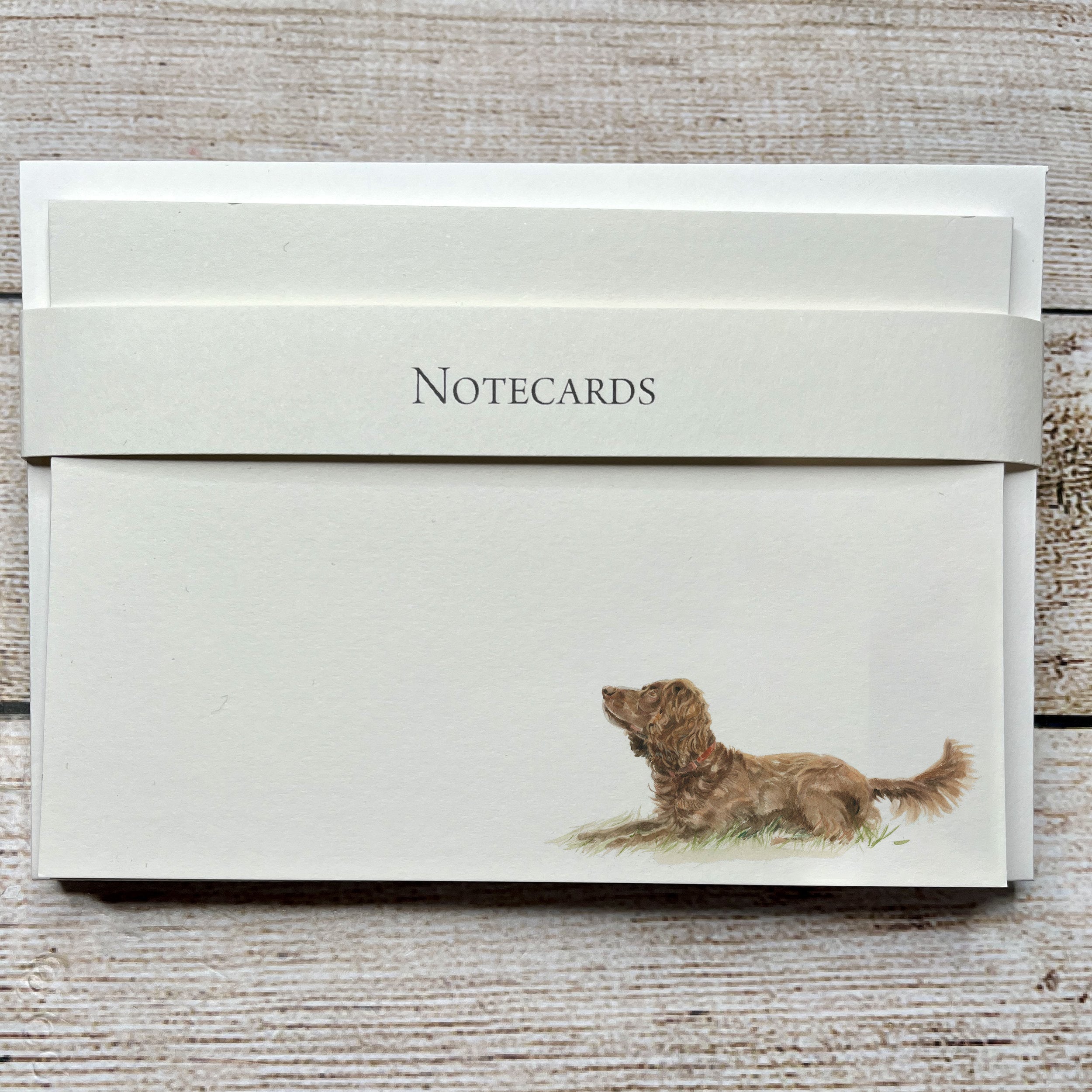 Pack of 8 Correspondence Notecards