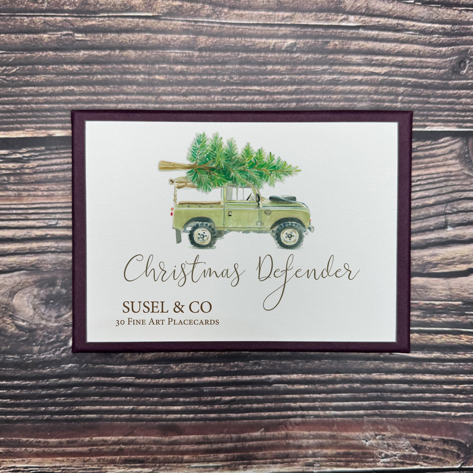 Christmas Defender - Place Cards