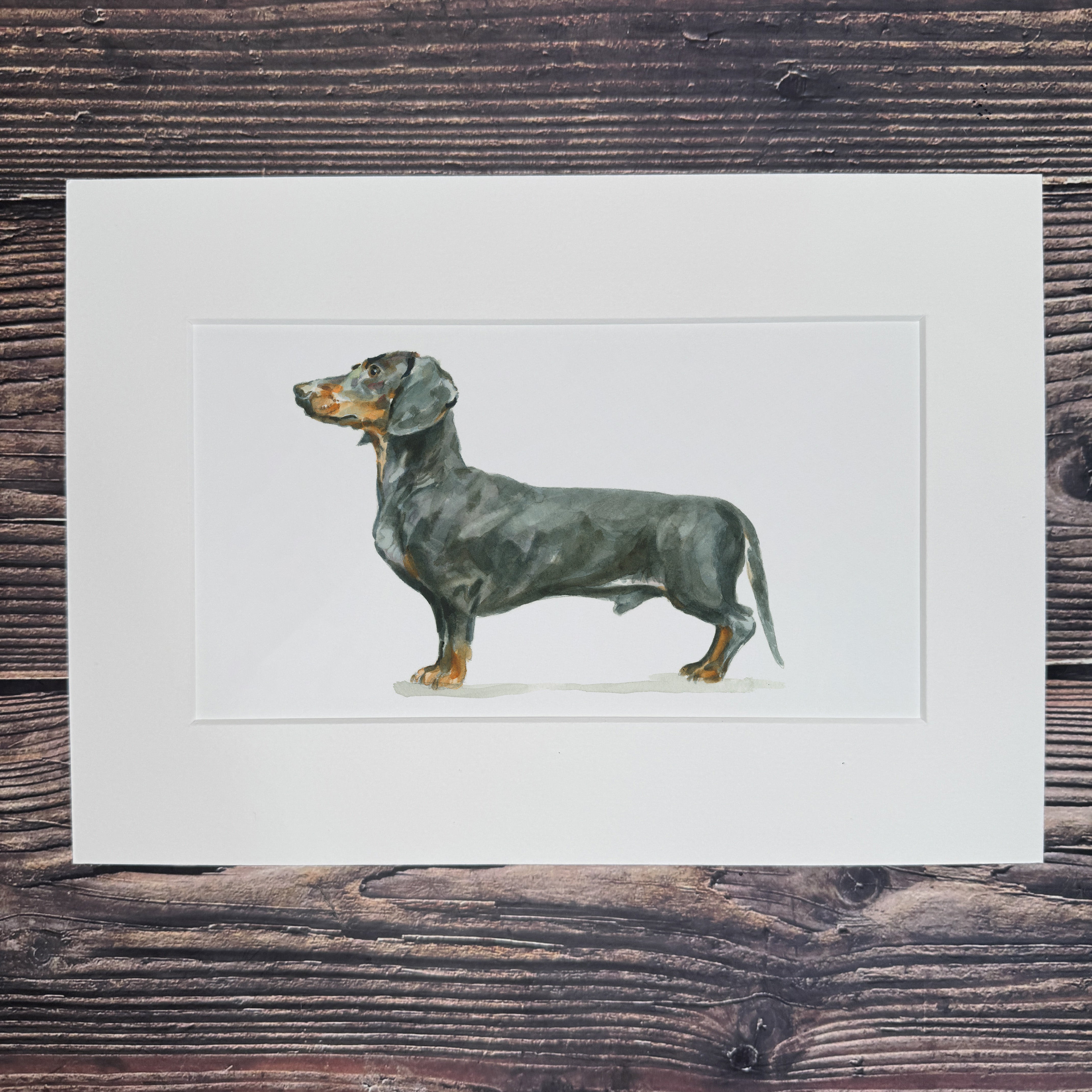 Dachshund - Long Mini Print