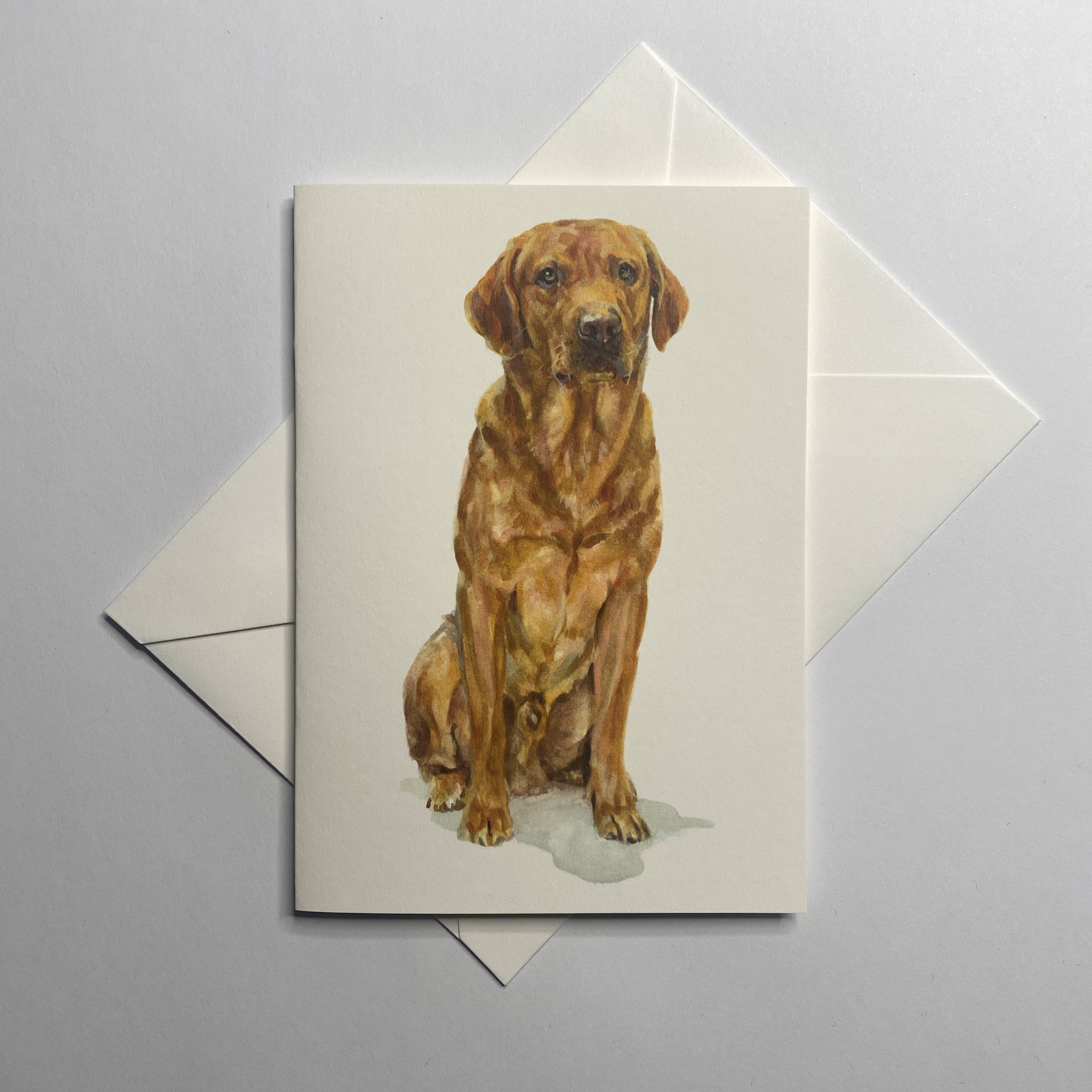Fox Red Lab - A6 Greetings Card