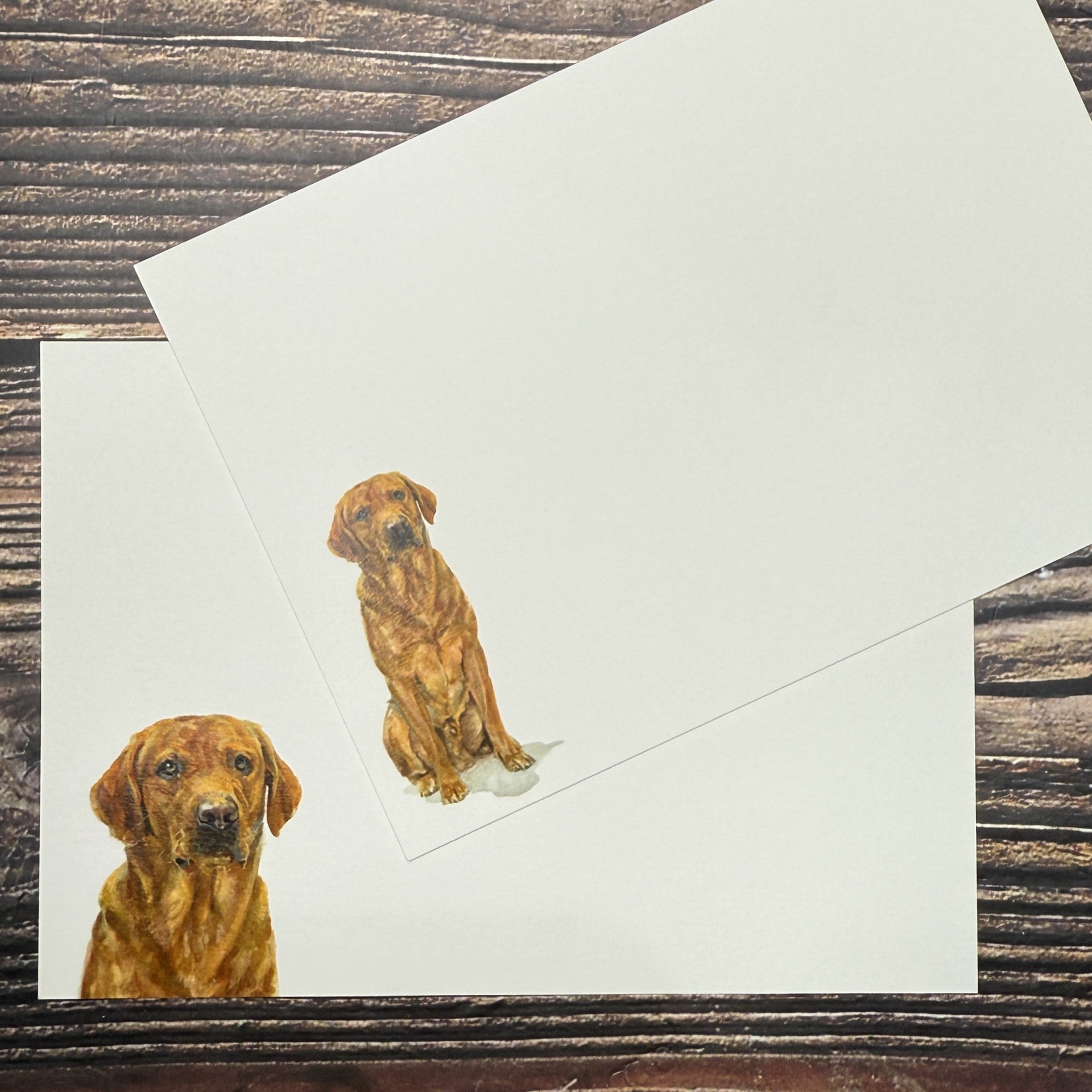Fox Red Lab - Notecards