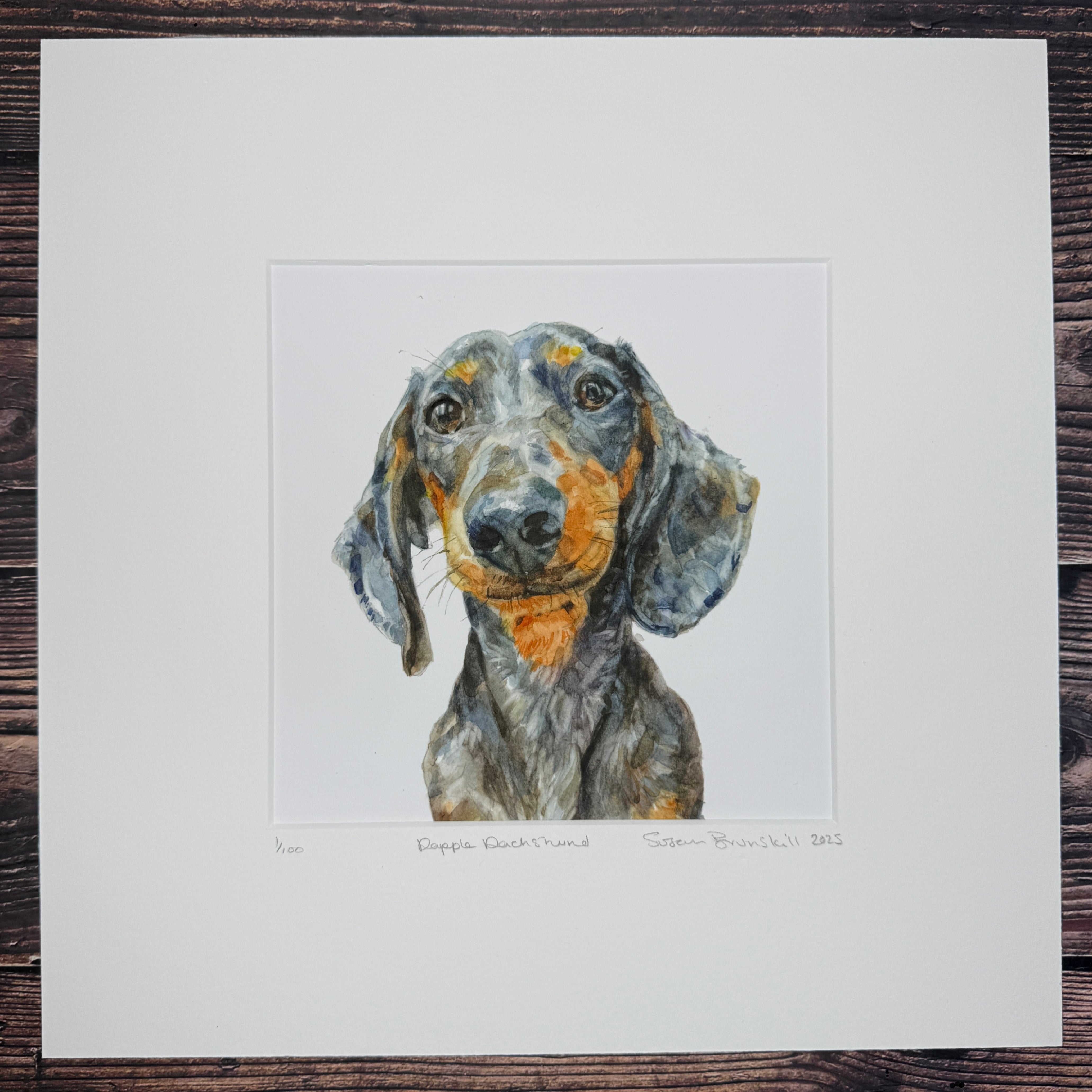 Dapple Dachshund - Giclee Print