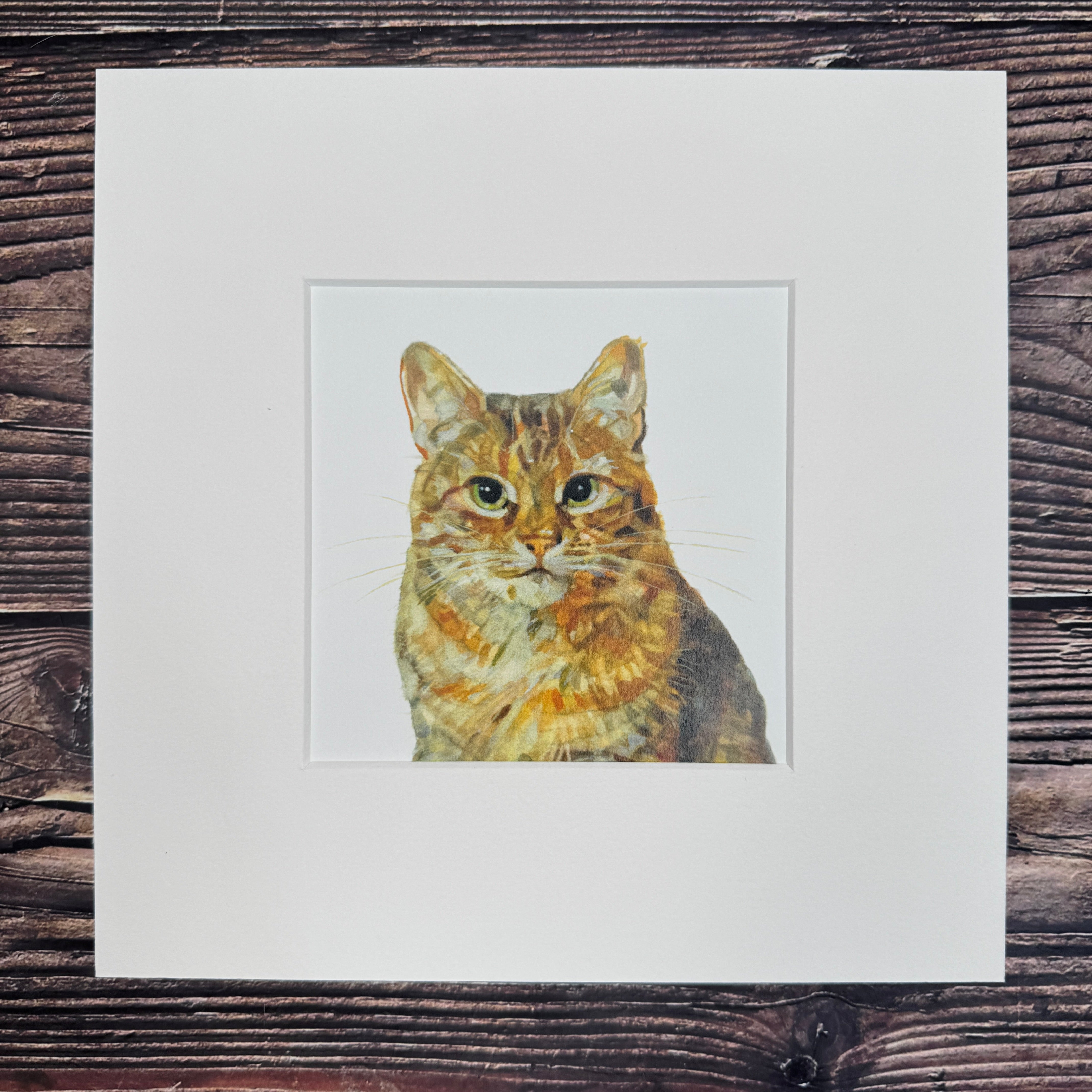 Tabby Cat - Square Mini Print
