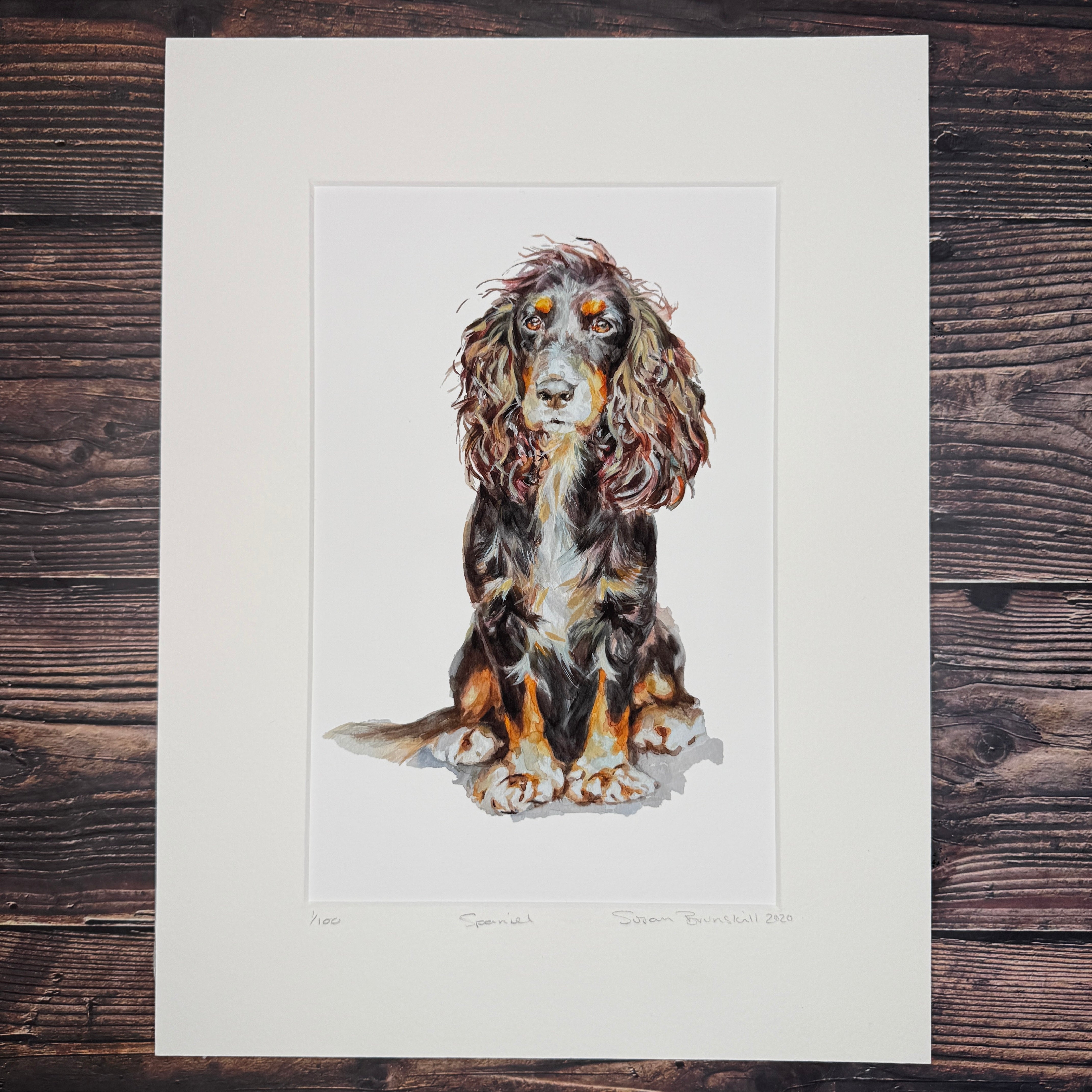 Spaniel - Giclee Print