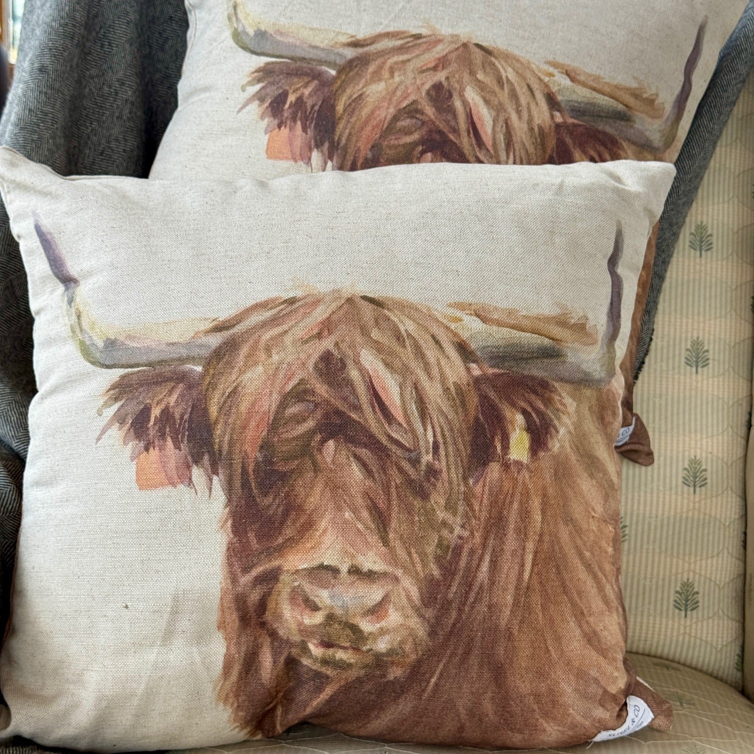 Highland Cow - Cushion