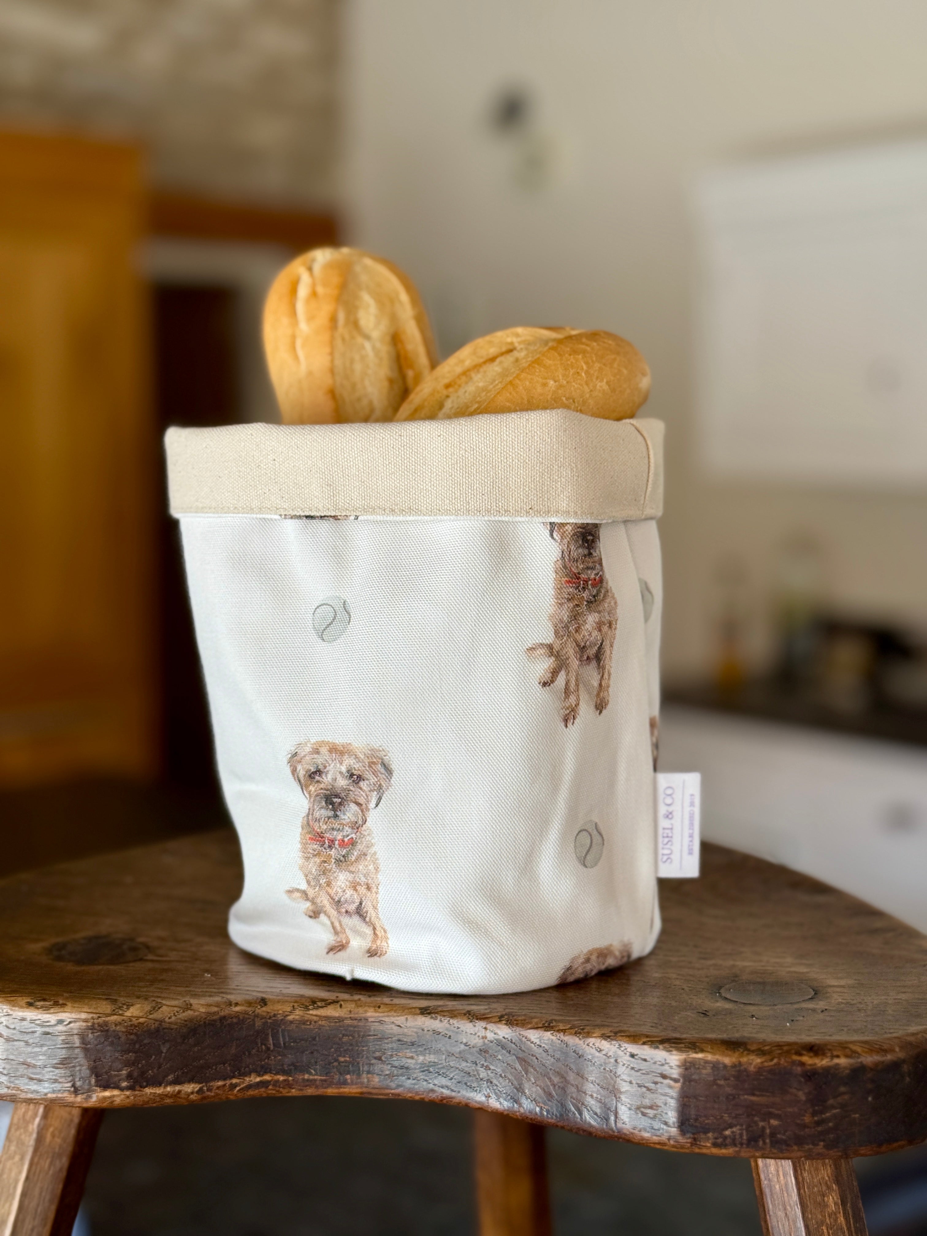 Border Terrier illustrated desk organiser by Susan Brunskill
