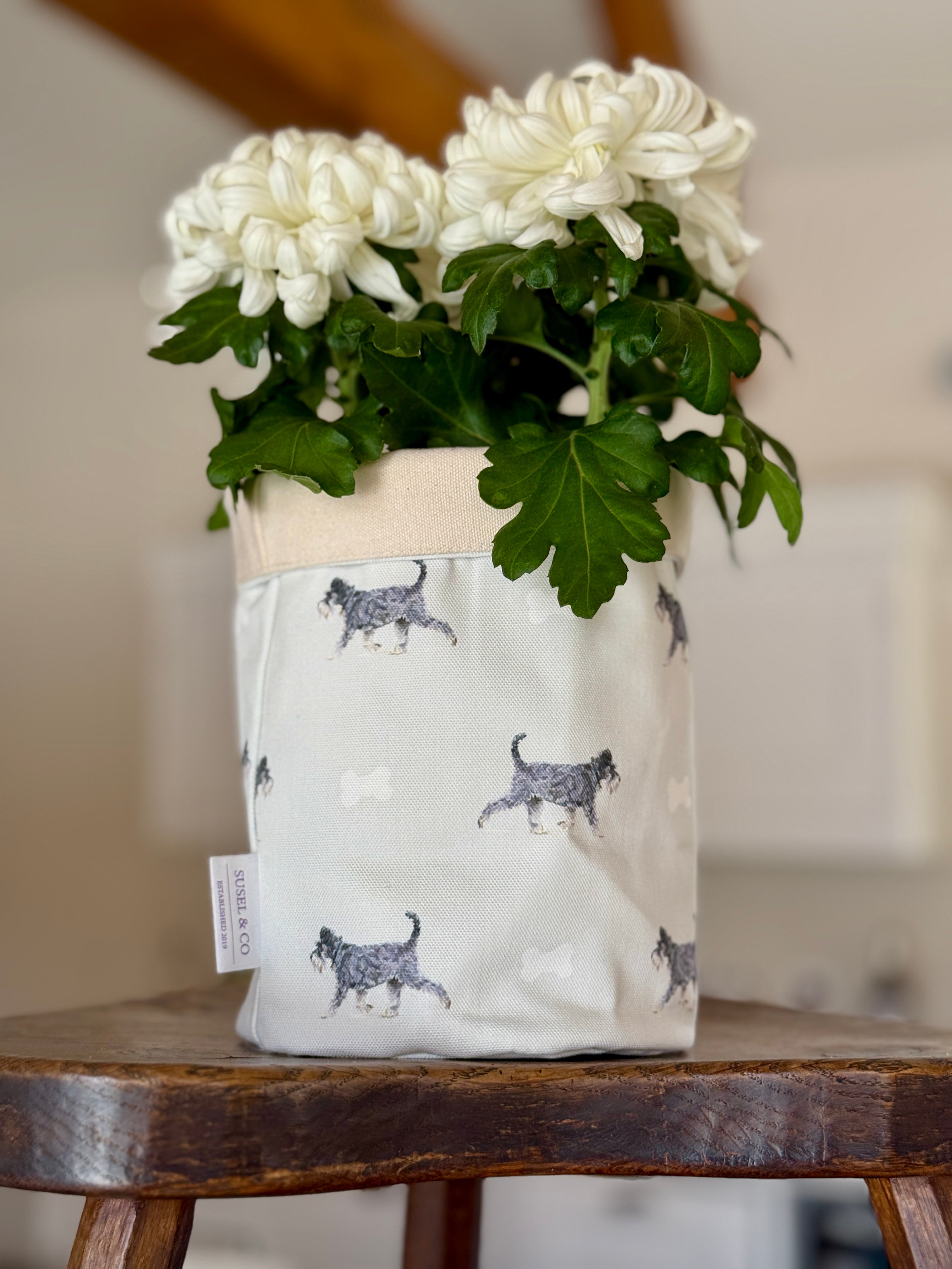 Schnauzer illustrated desk organiser by Susan Brunskill