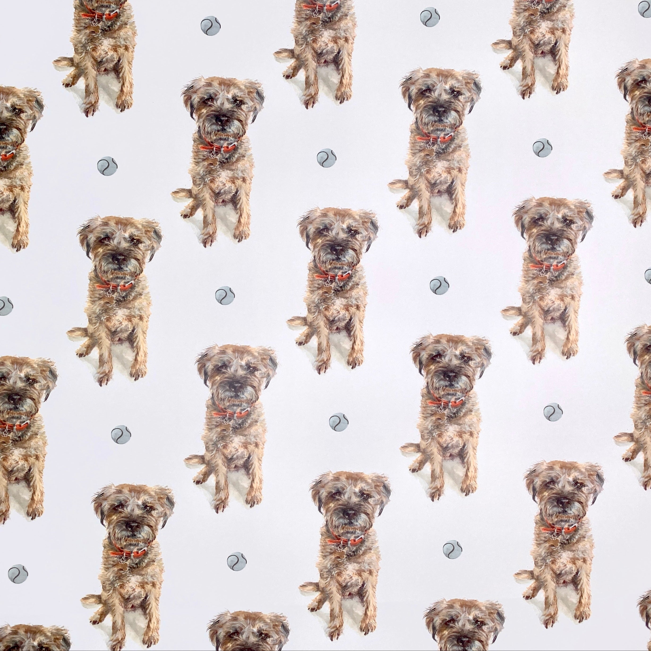 Border Terrier - Wrapping Paper
