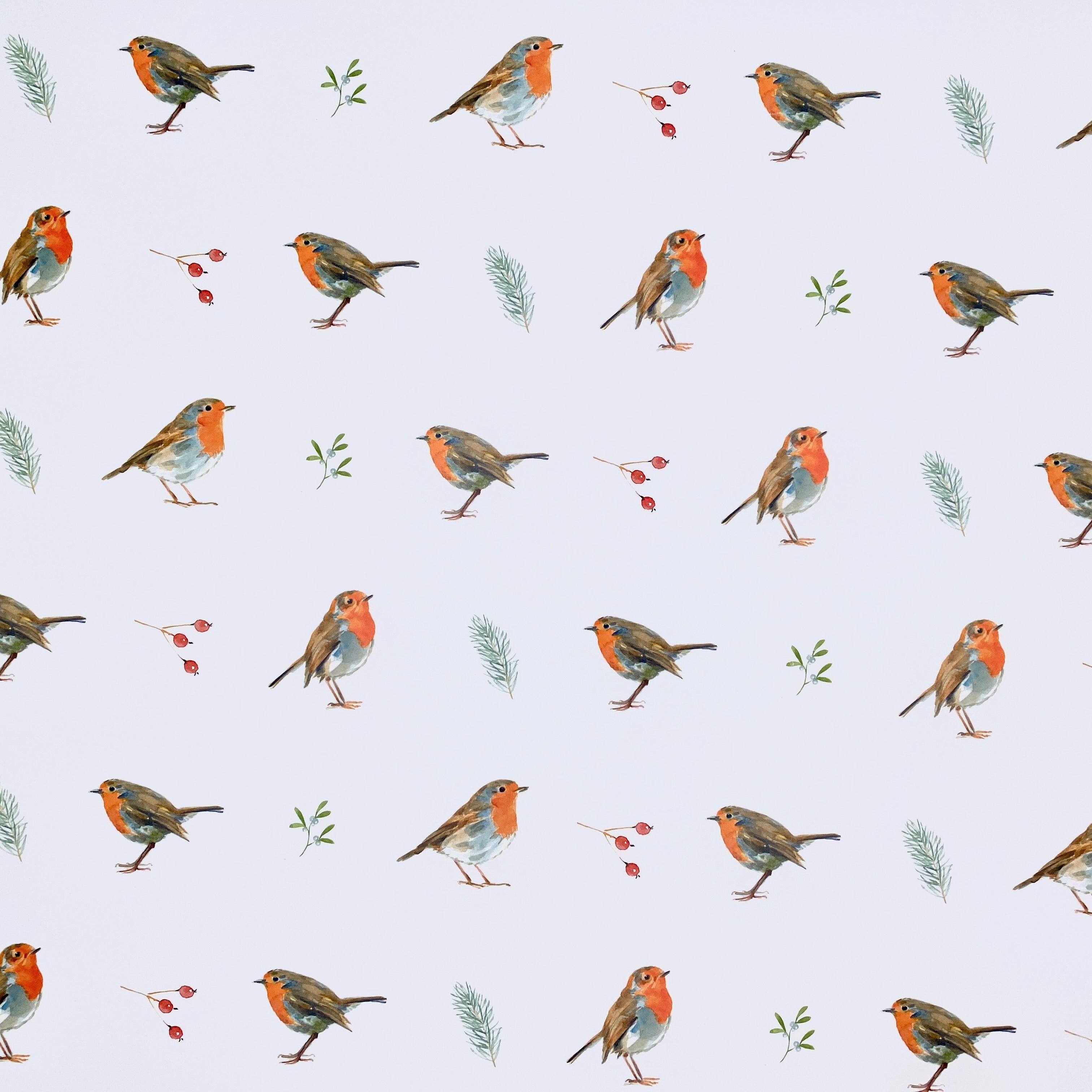 Festive Robin - Christmas Wrapping Paper