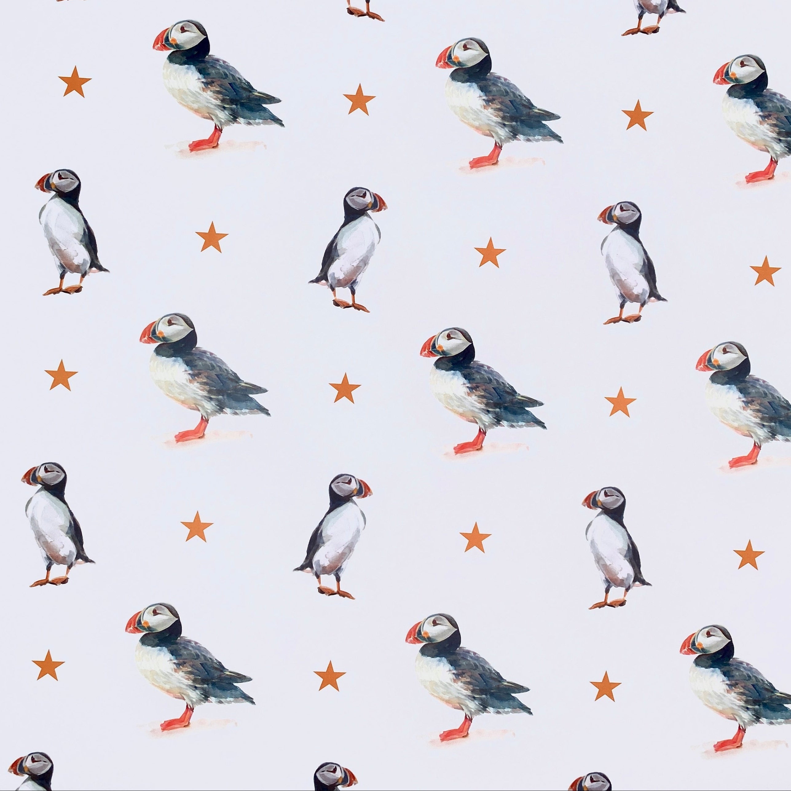 Puffin - Wrapping Paper