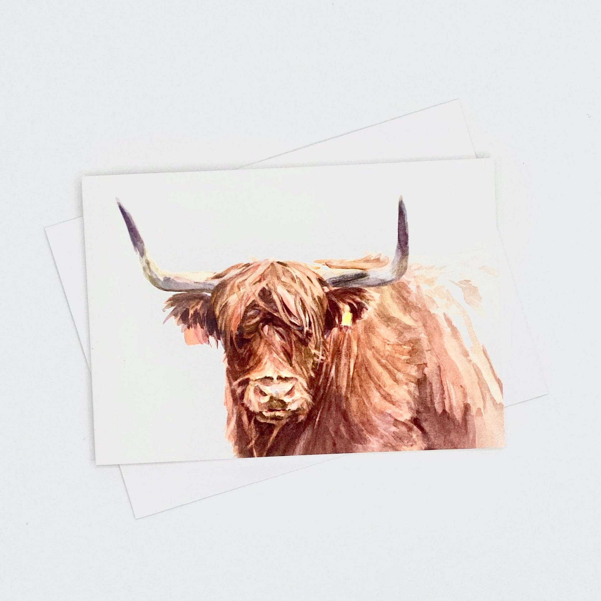 Highland Cow - A6 Greetings Card