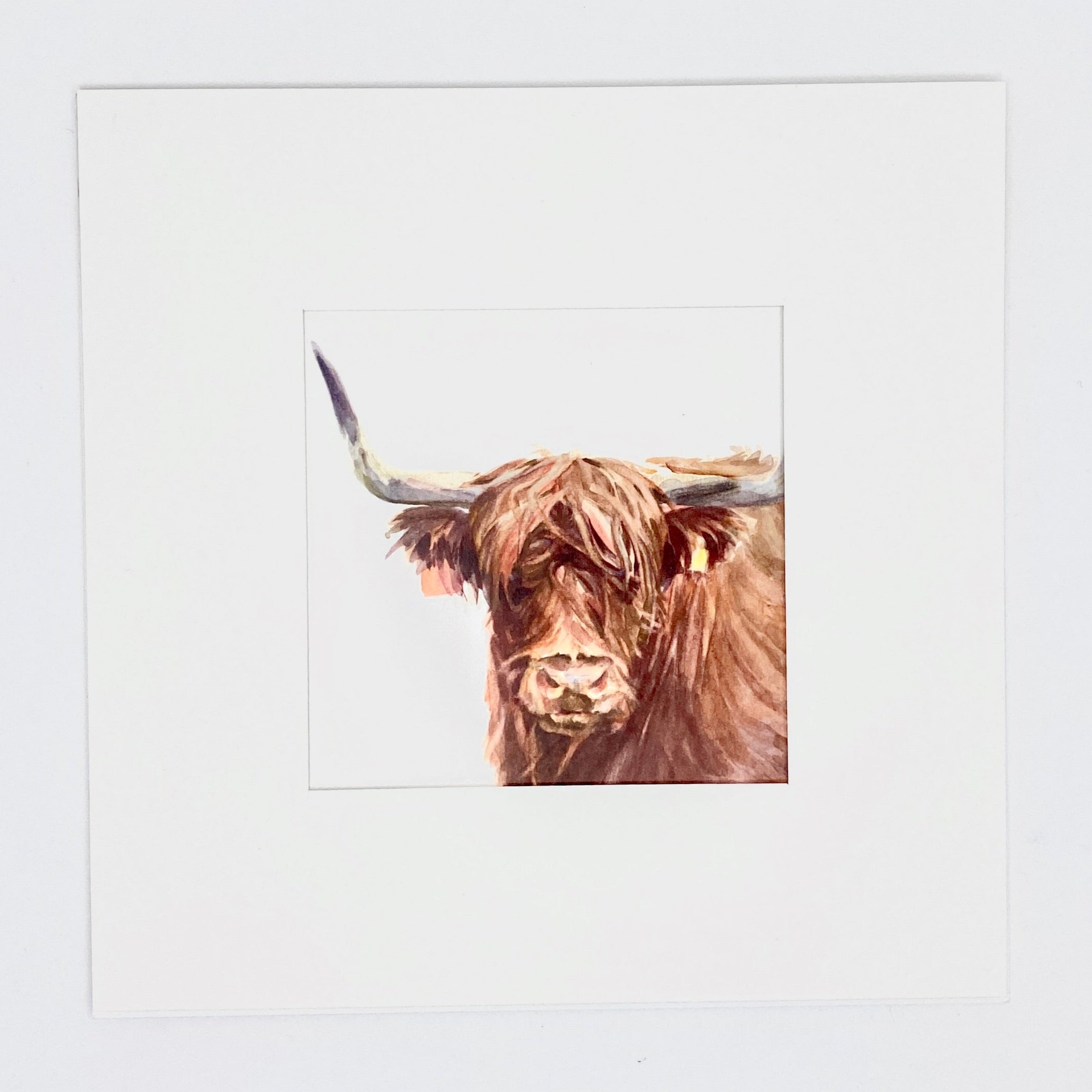Highland Cow - Square Mini Print