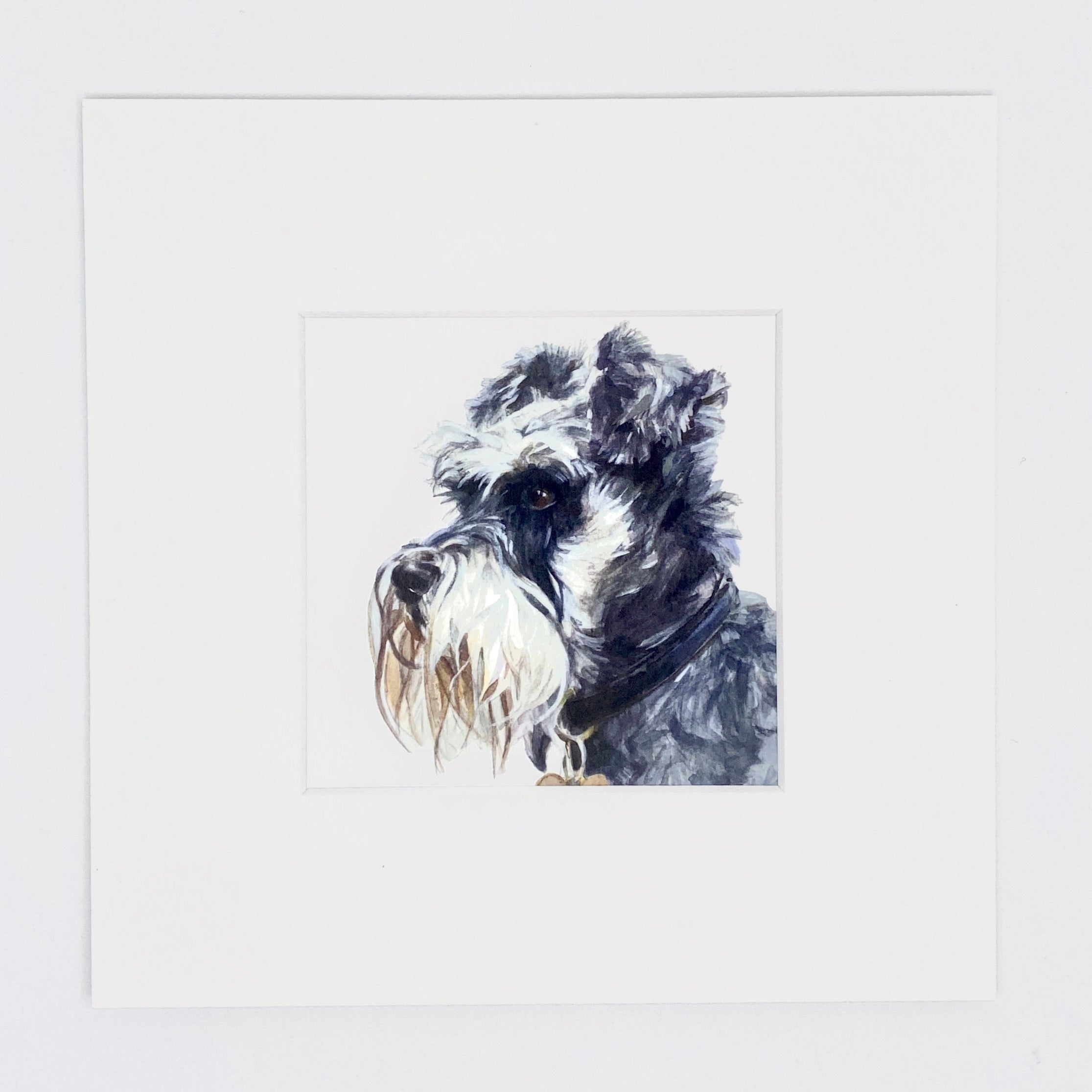 Schnauzer - Square Mini Print