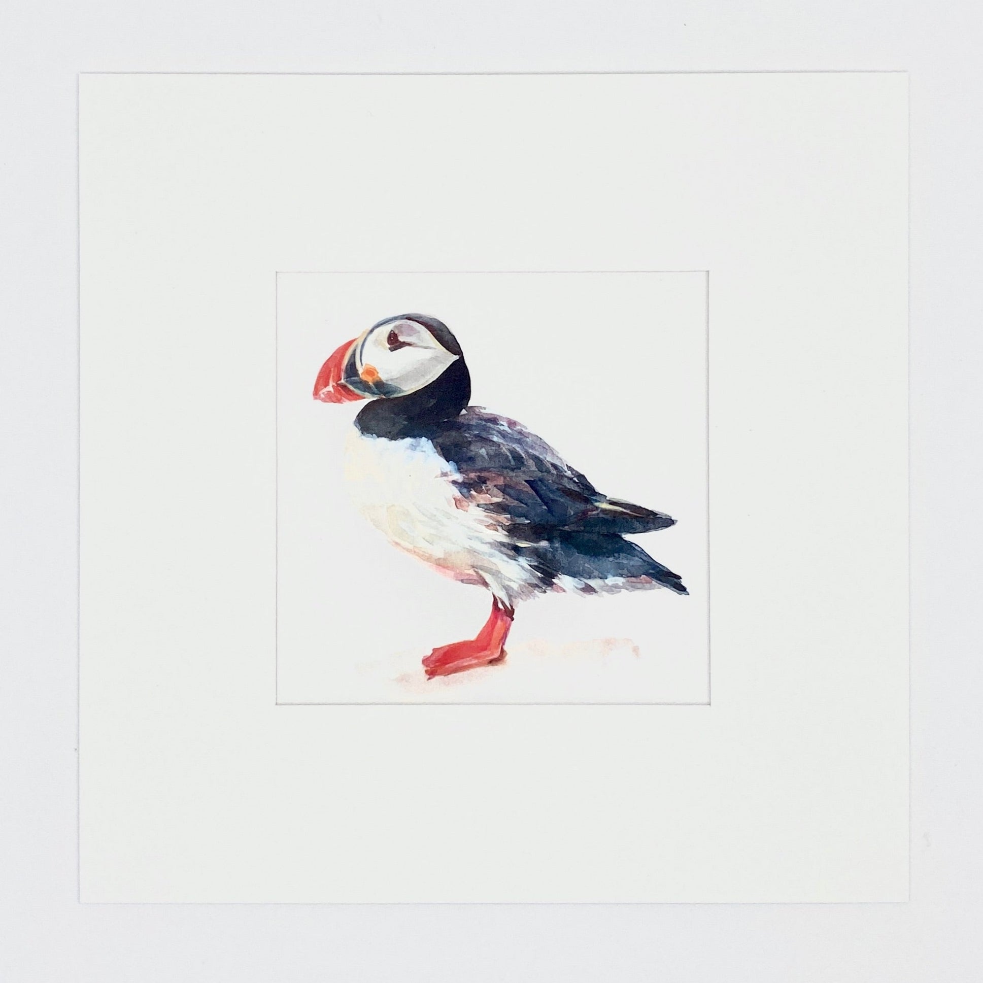 Puffin - Square Mini Print