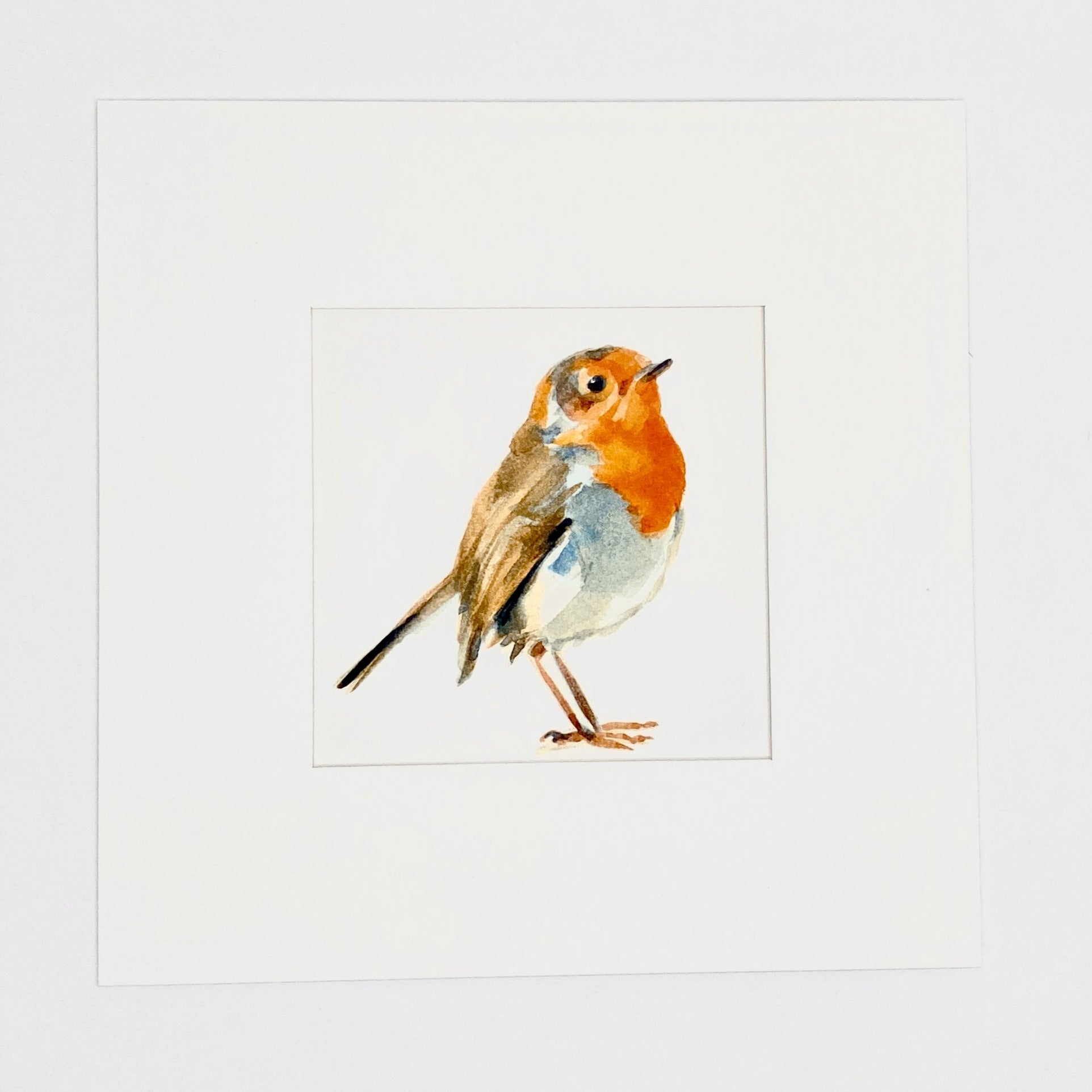 Robin - Square Mini Print