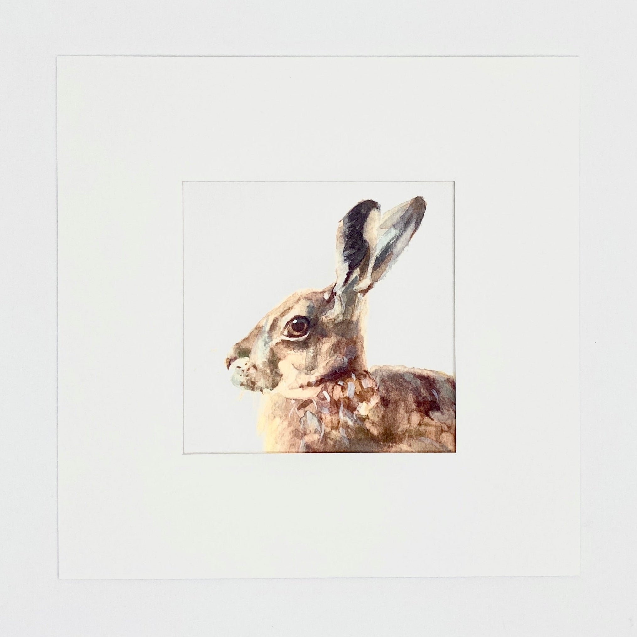 Hare Portrait - Square Mini Print