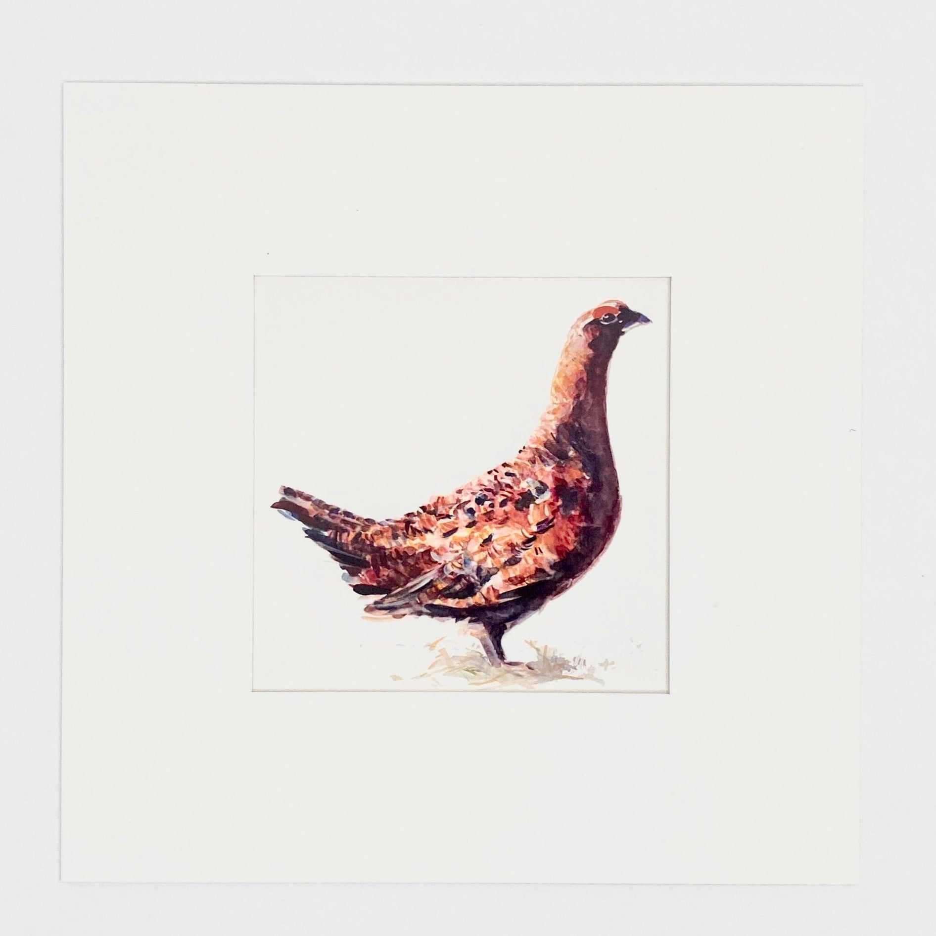 Grouse - Square Mini Print