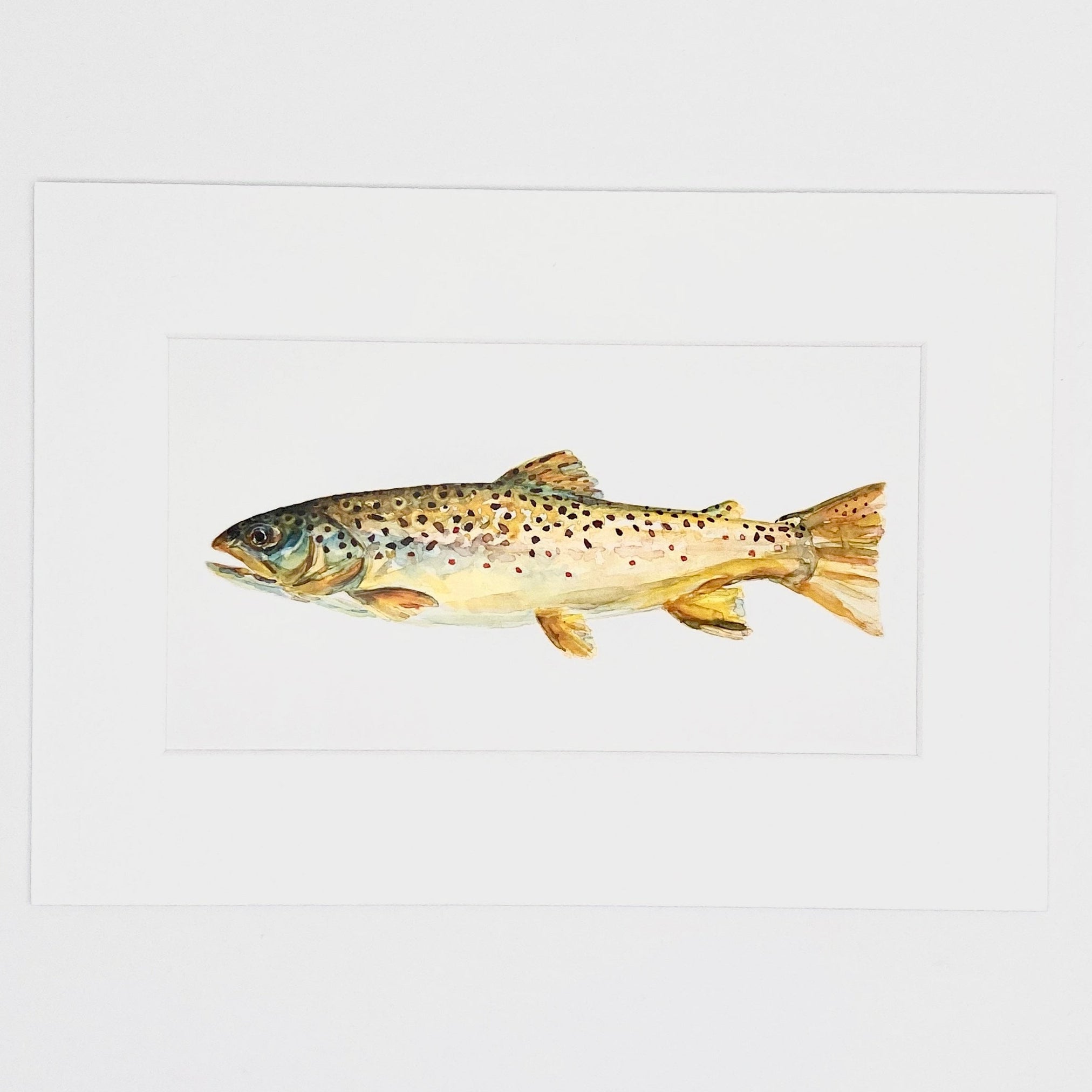 Brown Trout - Long Mini Print
