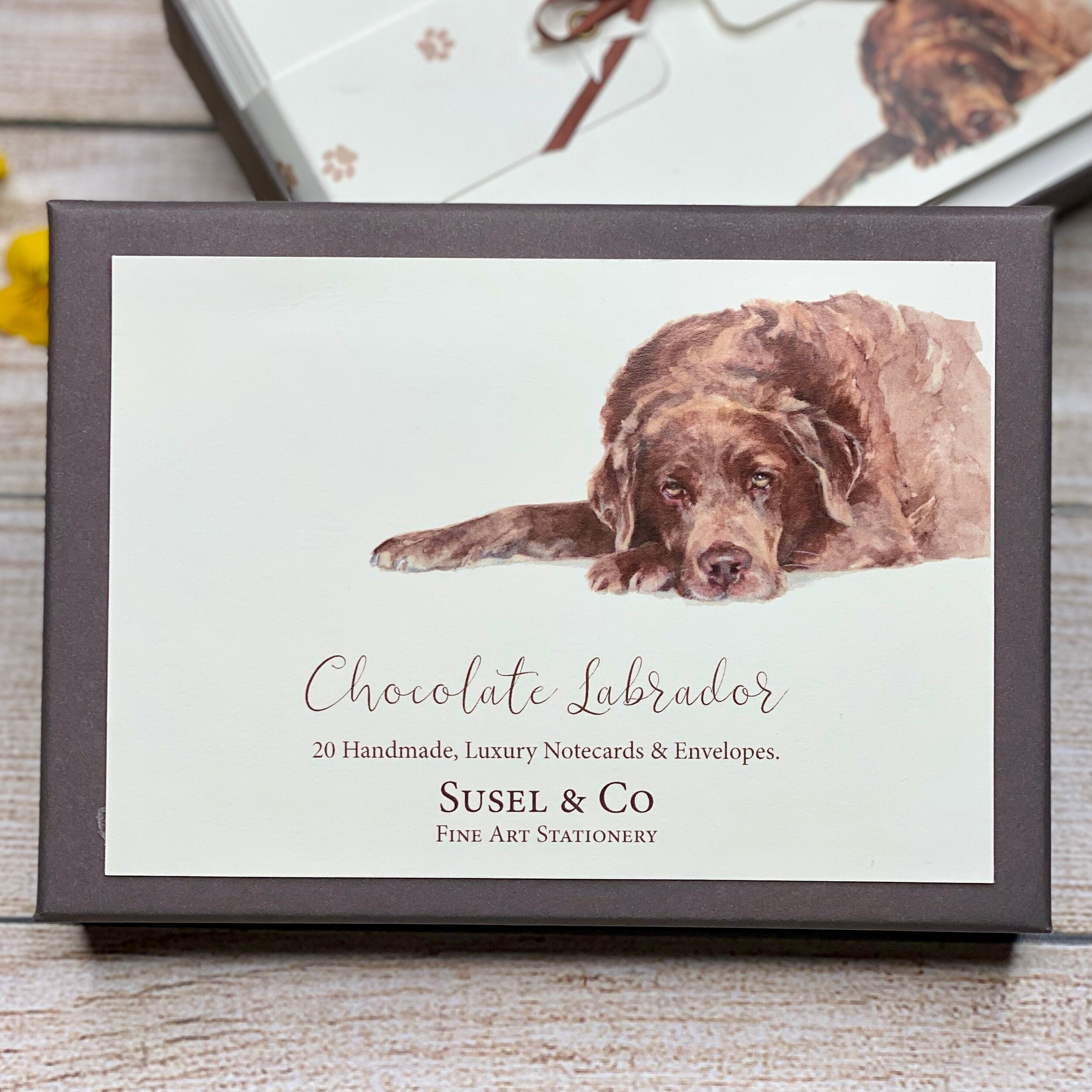 Chocolate Labrador - Notecards
