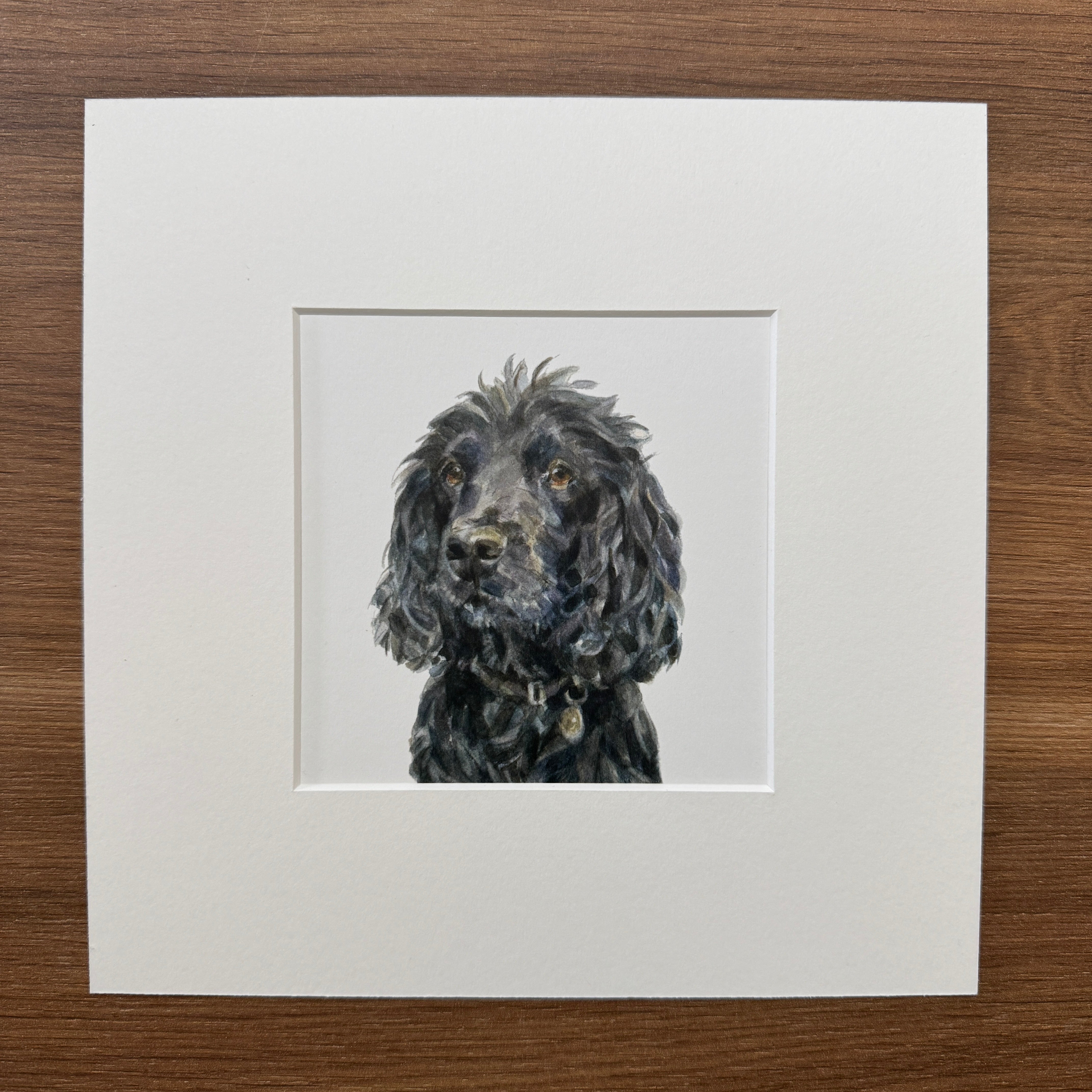 Black Spaniel - Square Mini Print