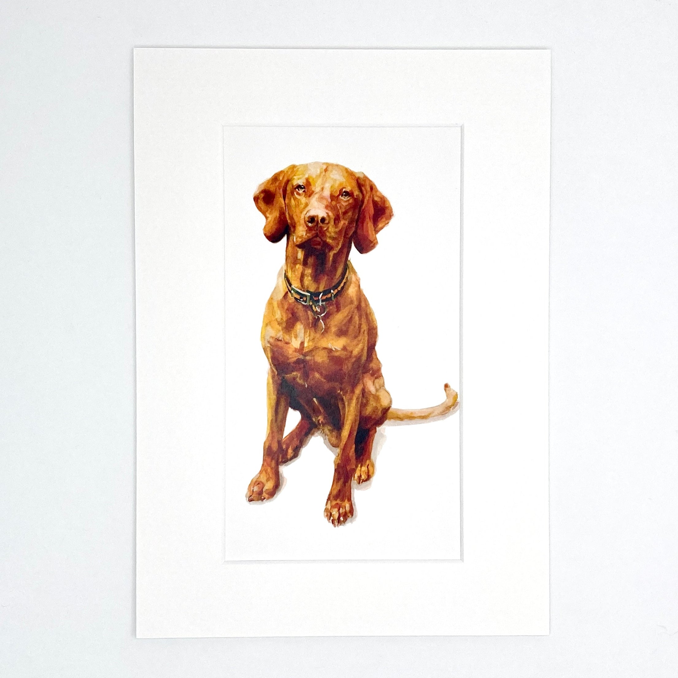 Hungarian Vizsla - Long Mini Print