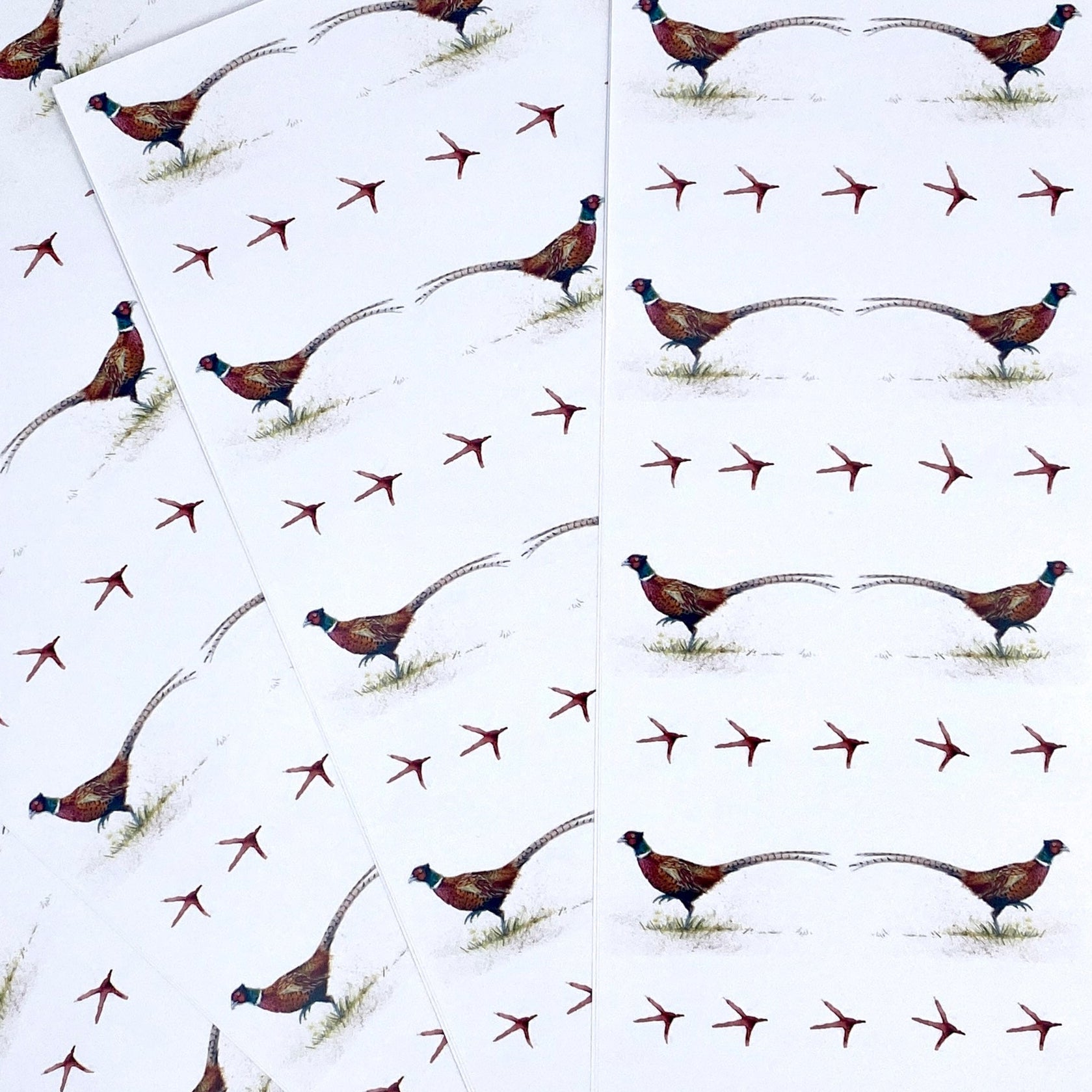 Country Gent - Wrapping Paper