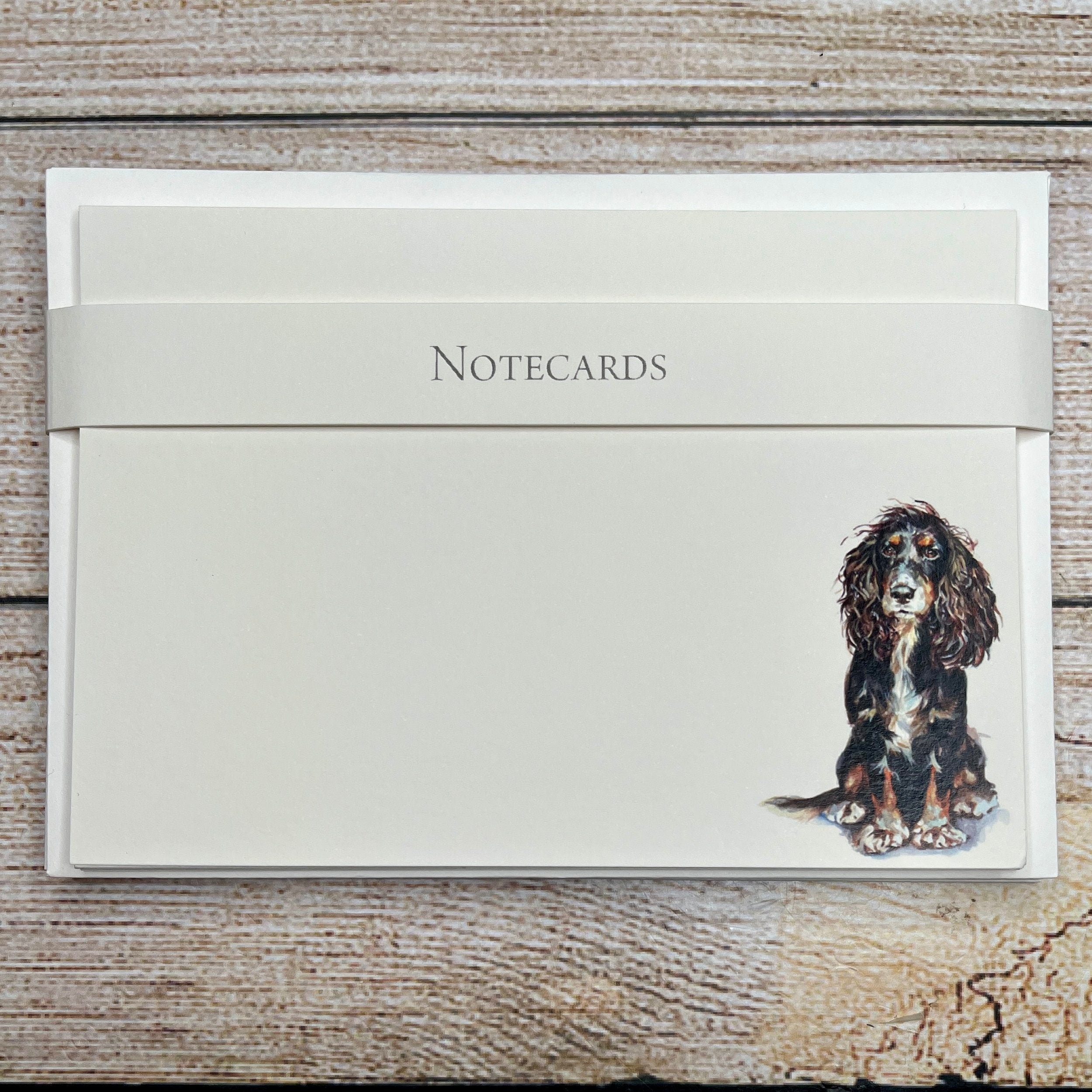 Pack of 8 Correspondence Notecards