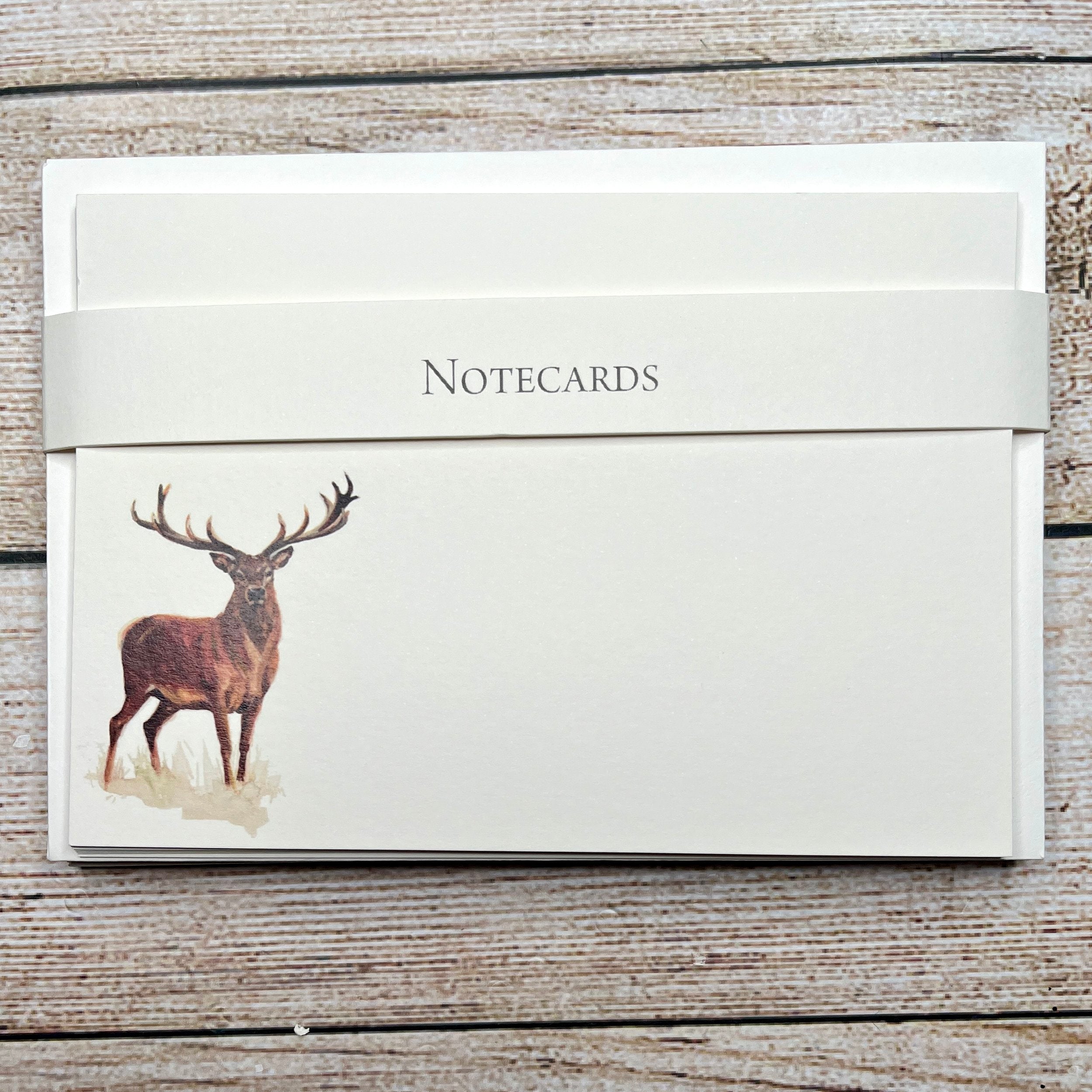 Pack of 8 Correspondence Notecards