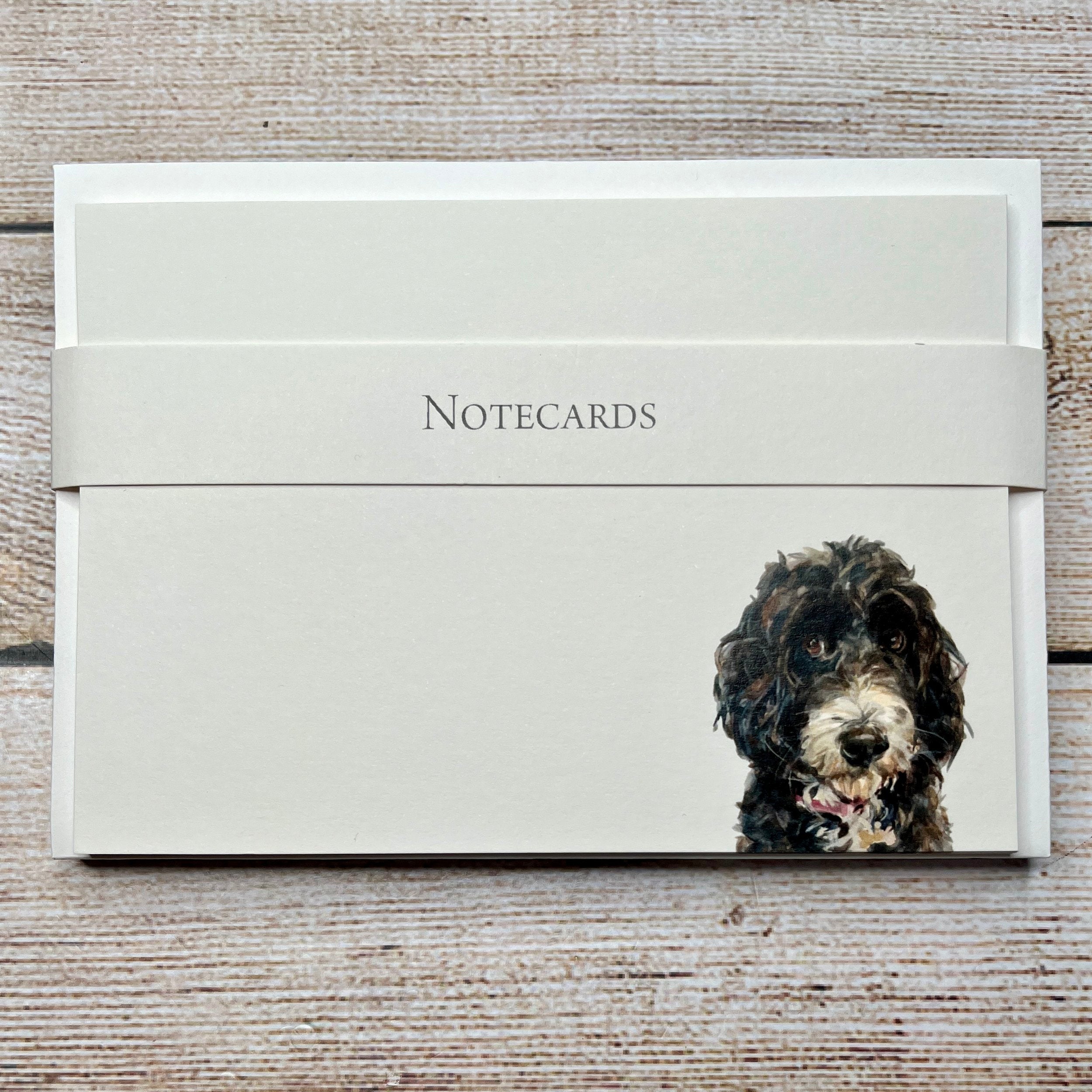 Pack of 8 Correspondence Notecards