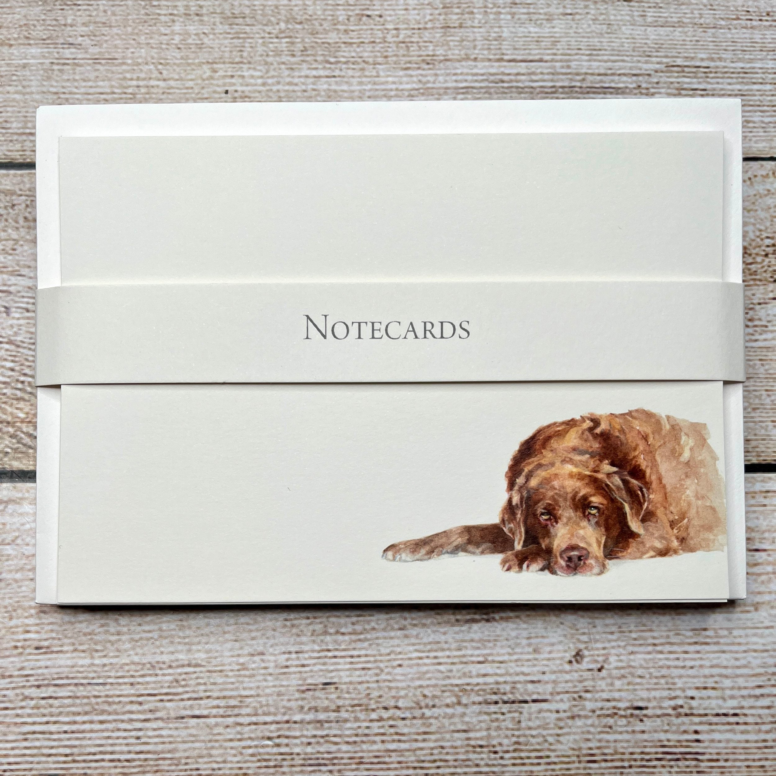 Pack of 8 Correspondence Notecards