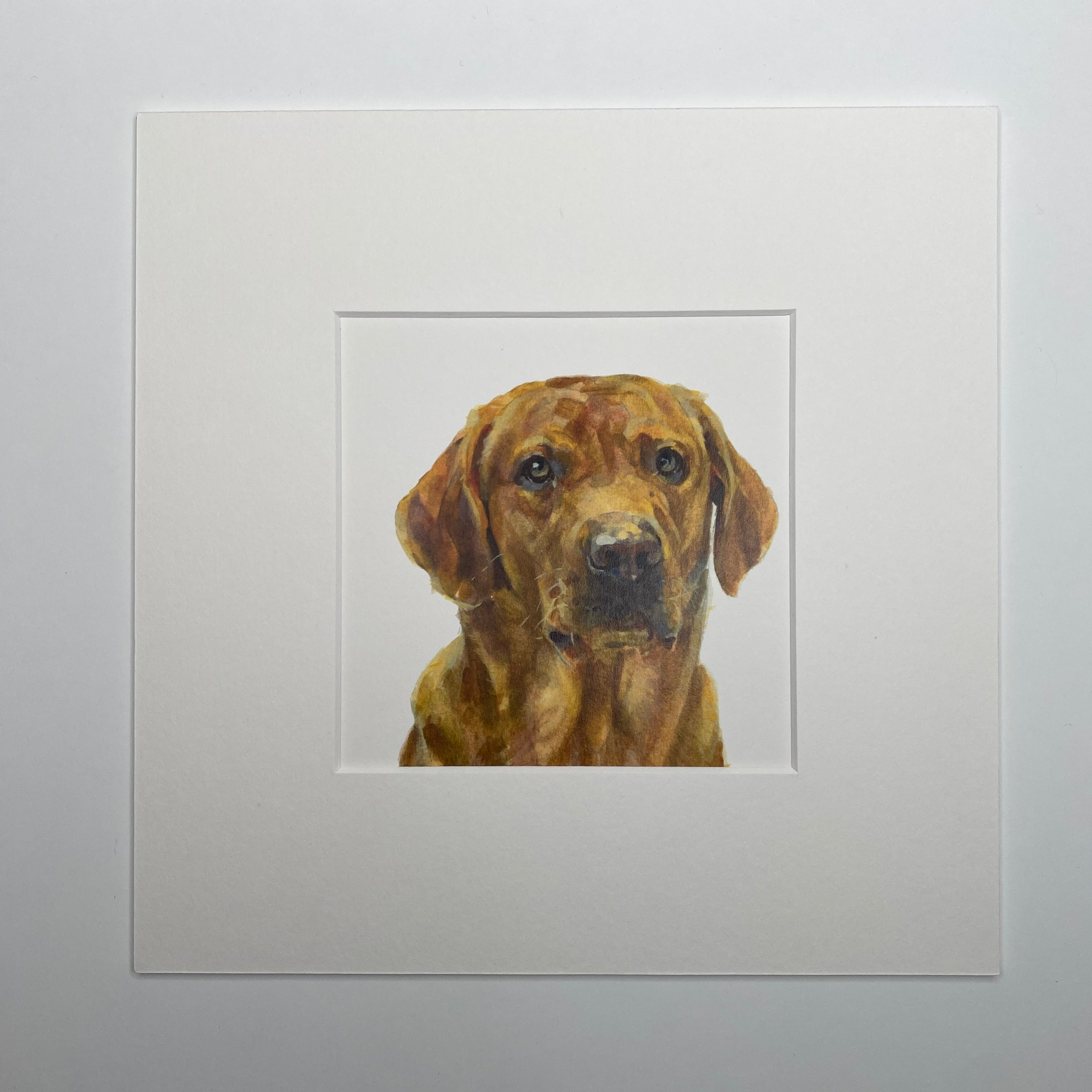 Fox Red Lab - Square Mini Print