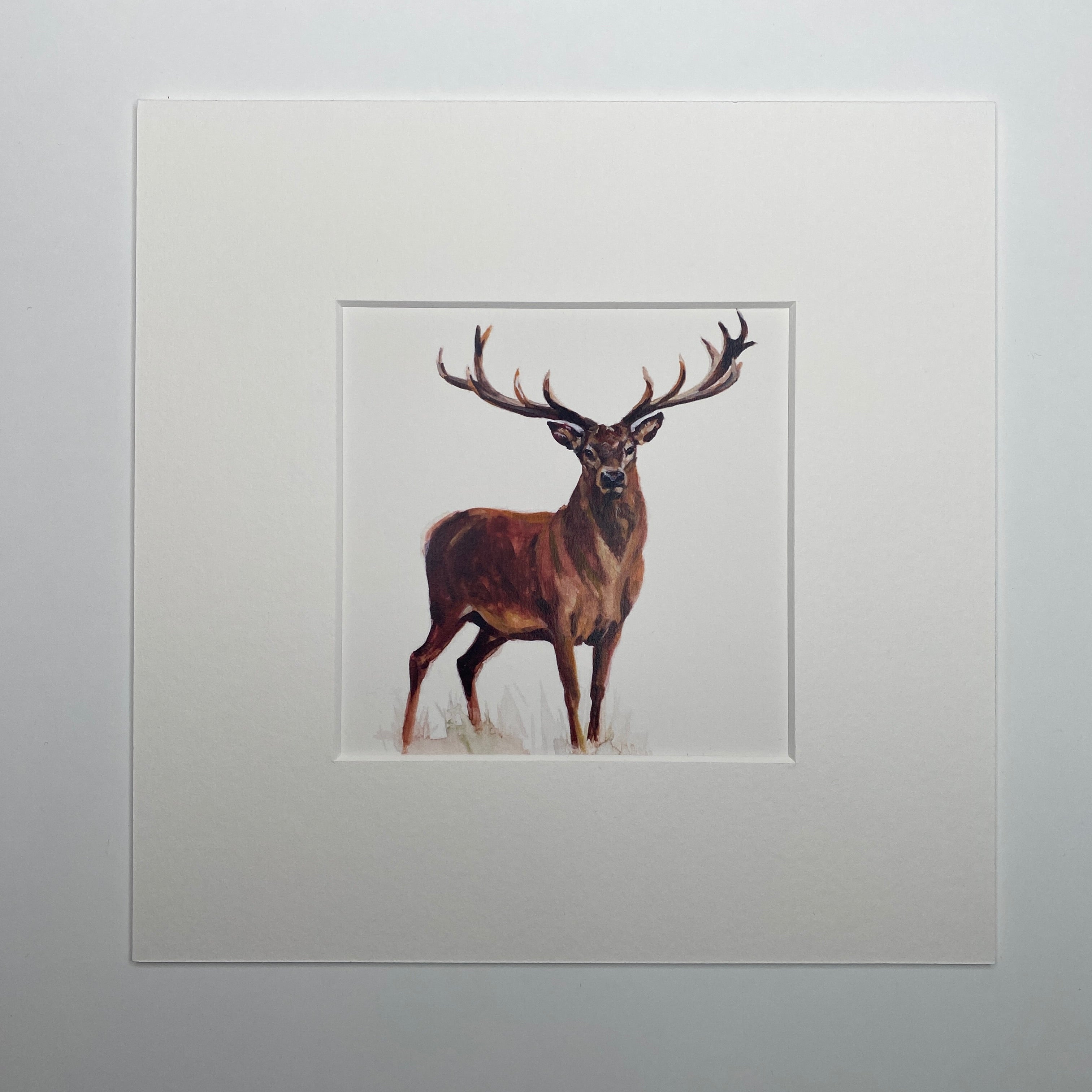 Red Deer - Square Mini Print