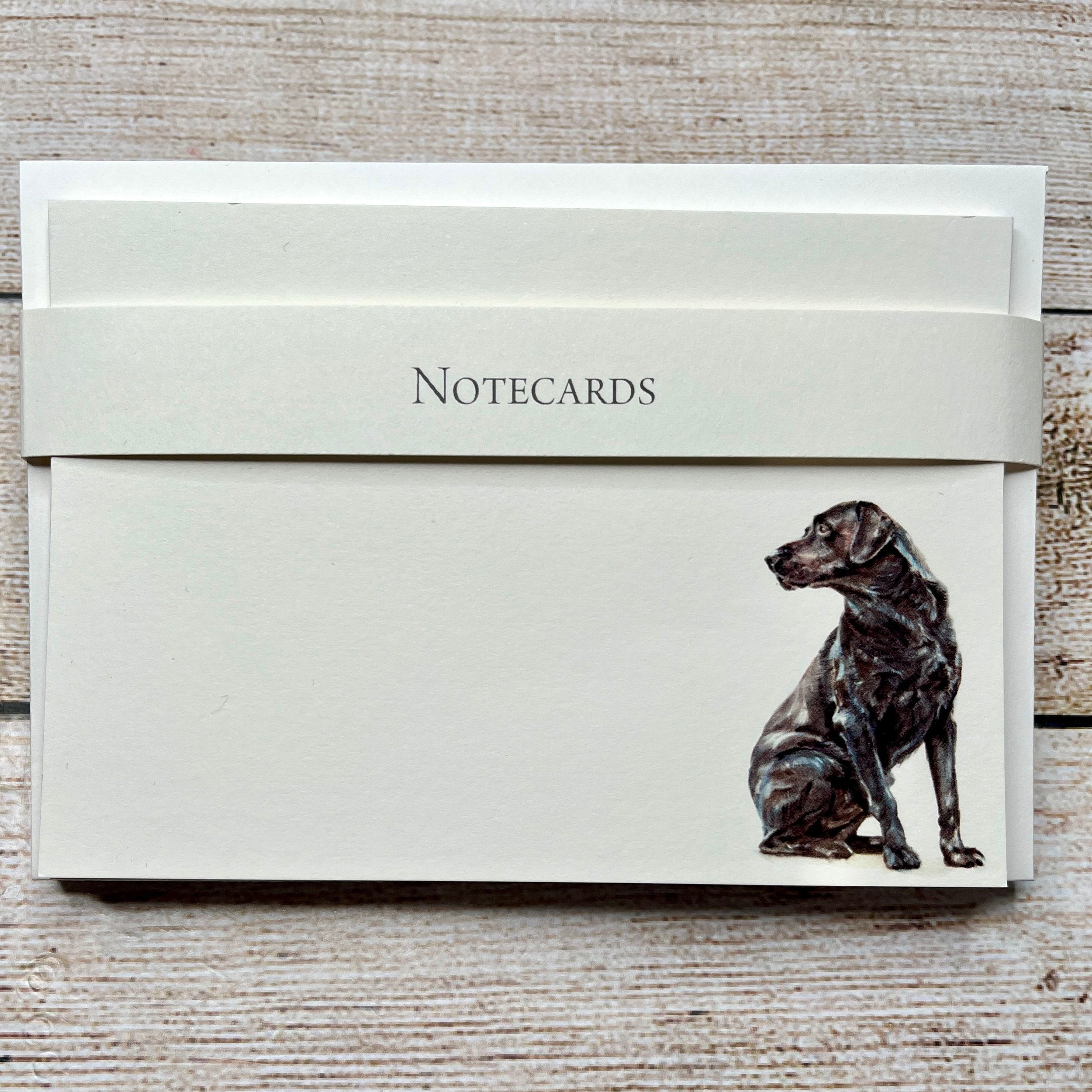 Pack of 8 Correspondence Notecards