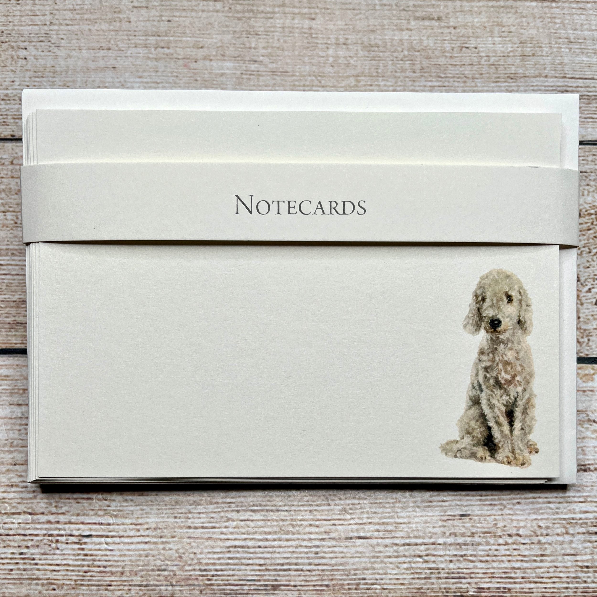 Pack of 8 Correspondence Notecards