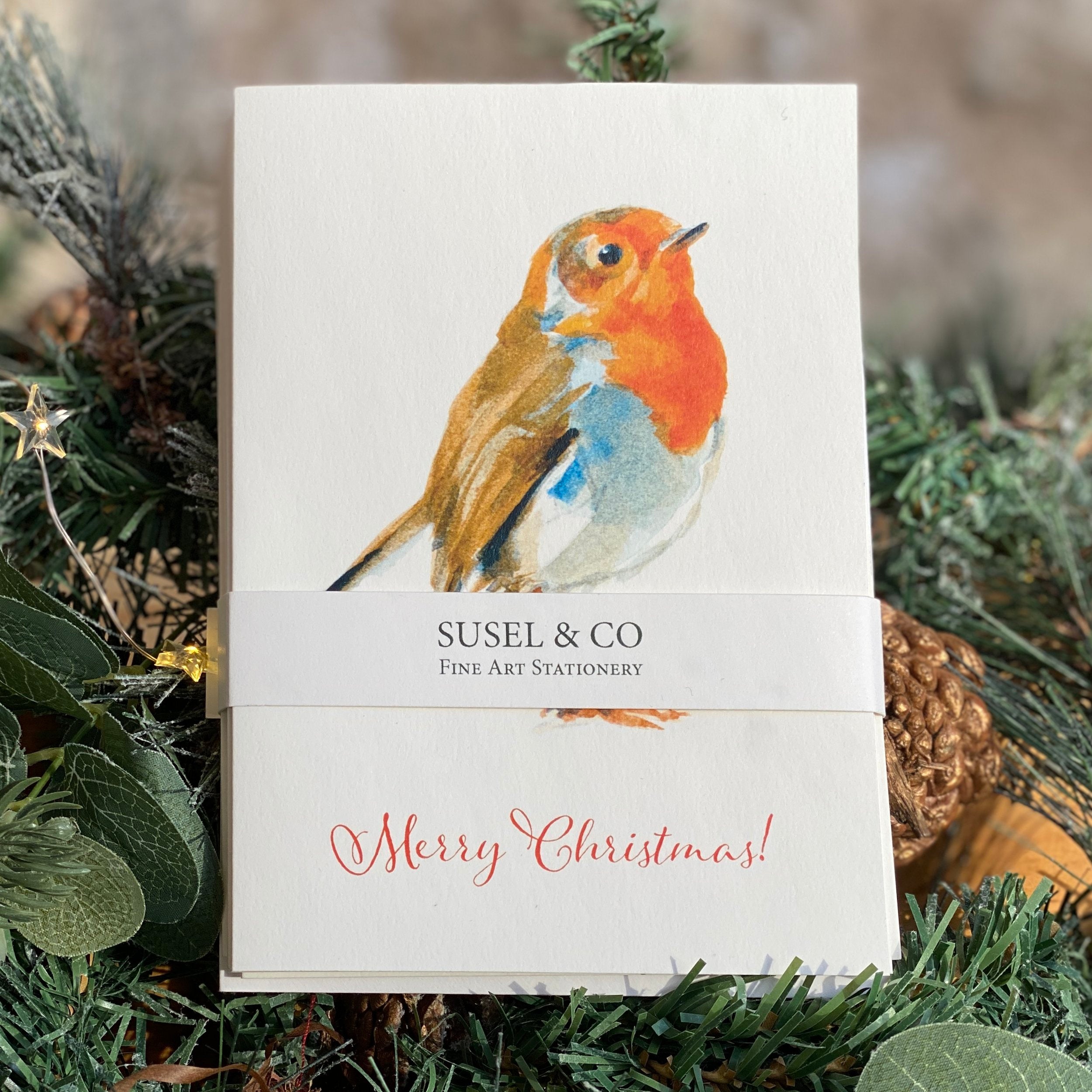Christmas Robin - Christmas Card