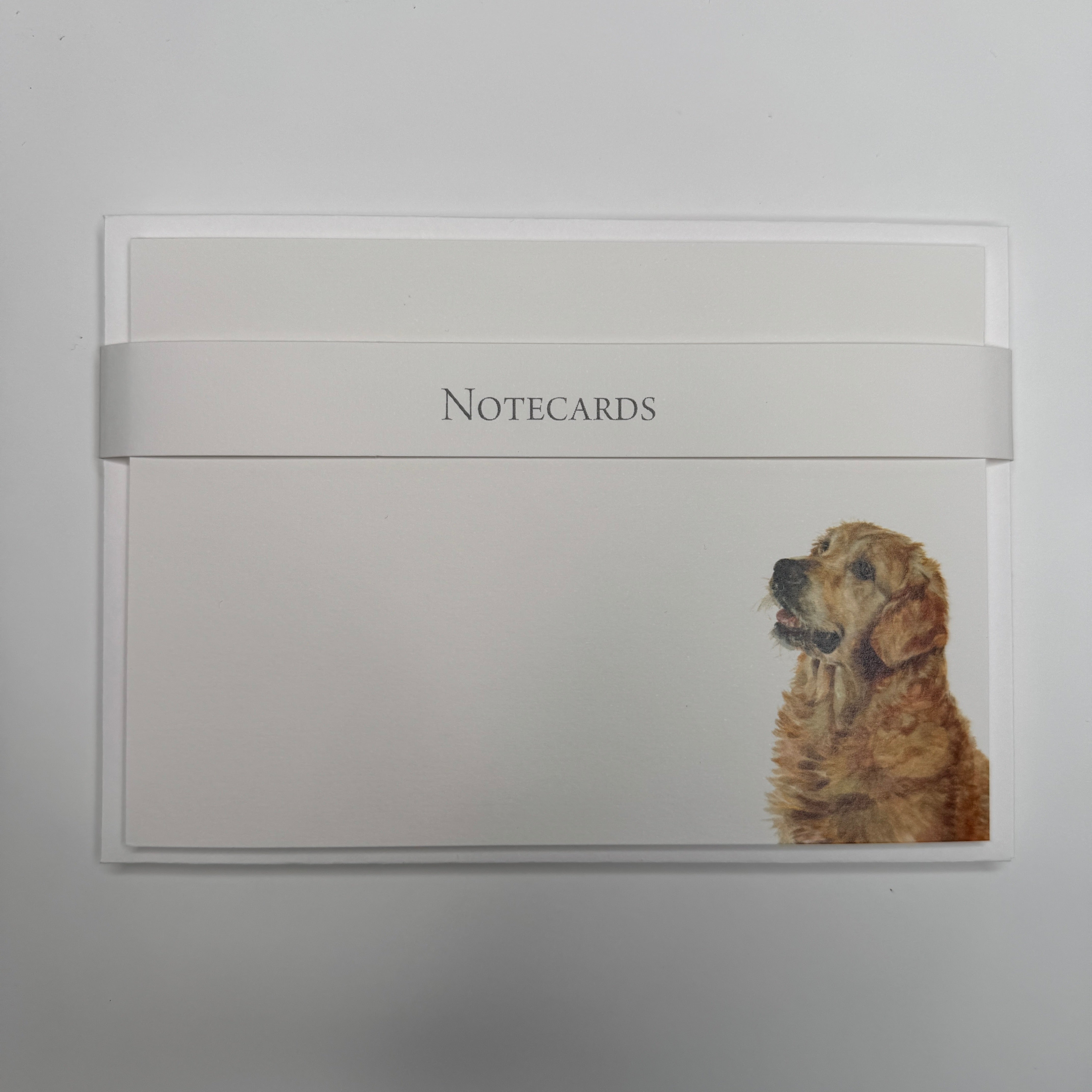 Pack of 8 Correspondence Notecards
