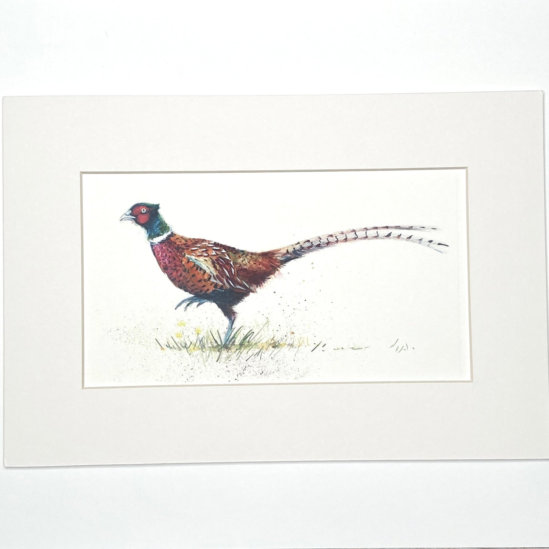 Country Gent - Long Mini Print