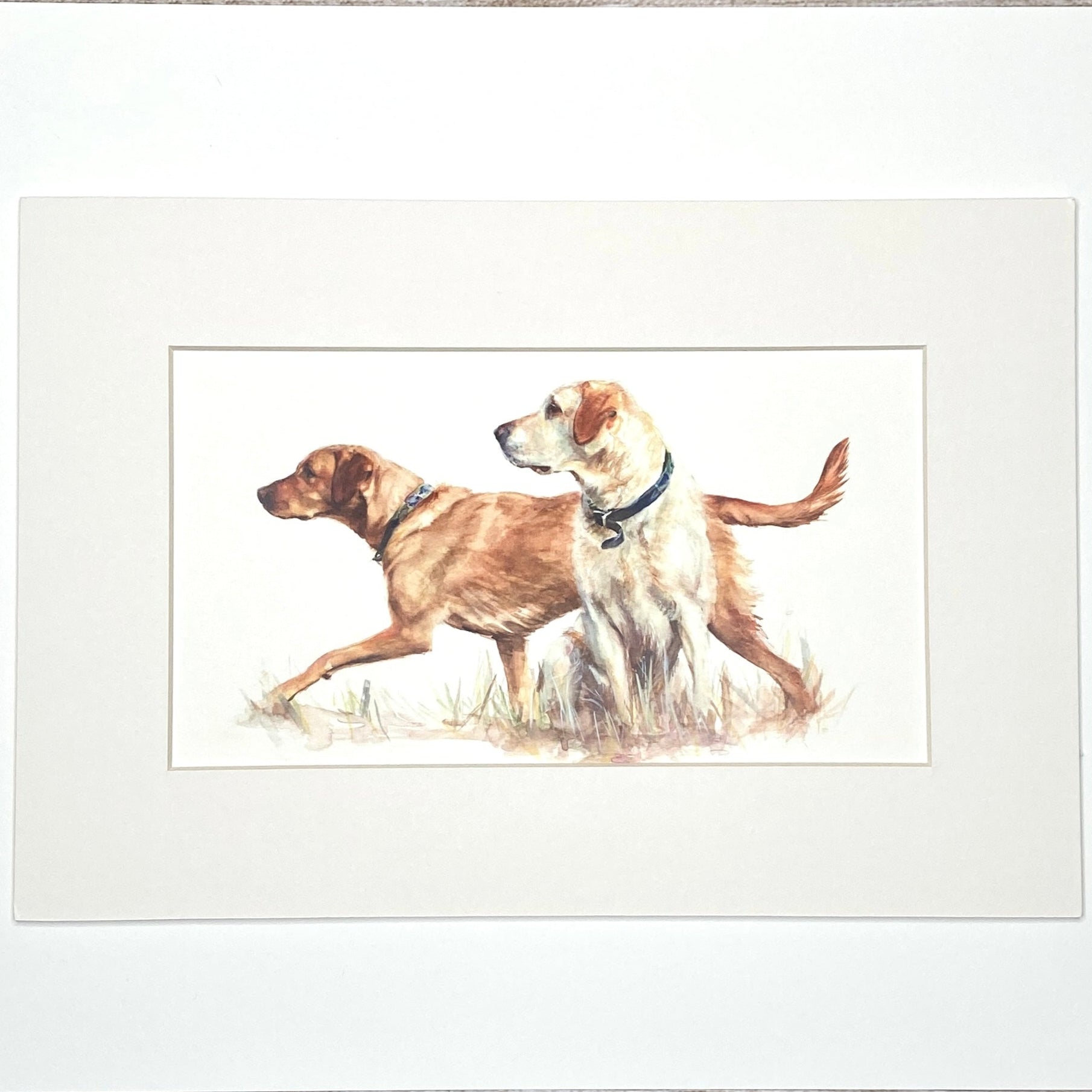 Yellow Labradors - Long Mini Print