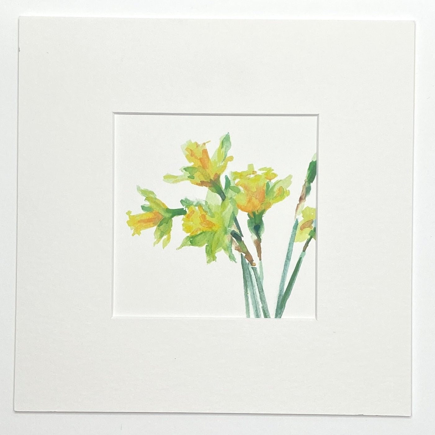 Daffodils - Square Mini Print