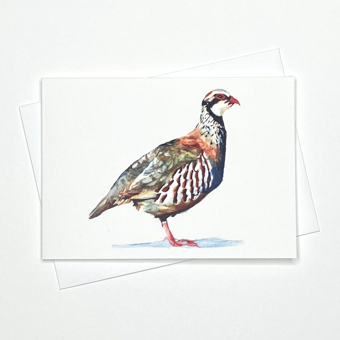 Partridge - A6 Greetings Card