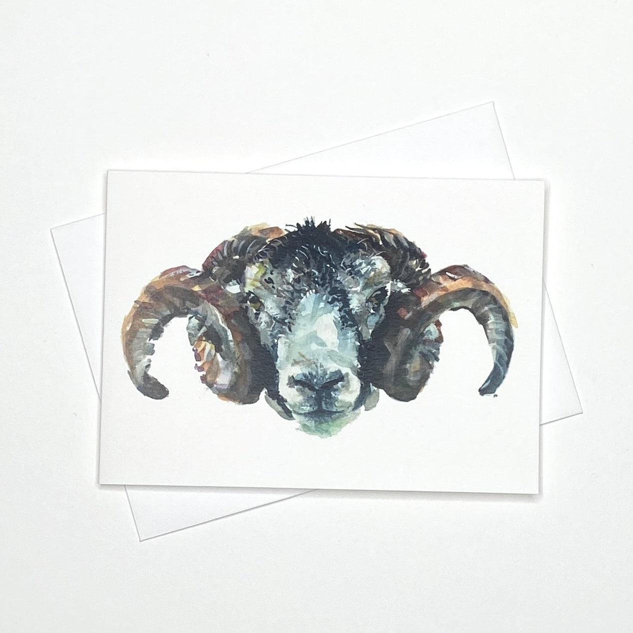 Curly the Sheep - A6 Greetings Card