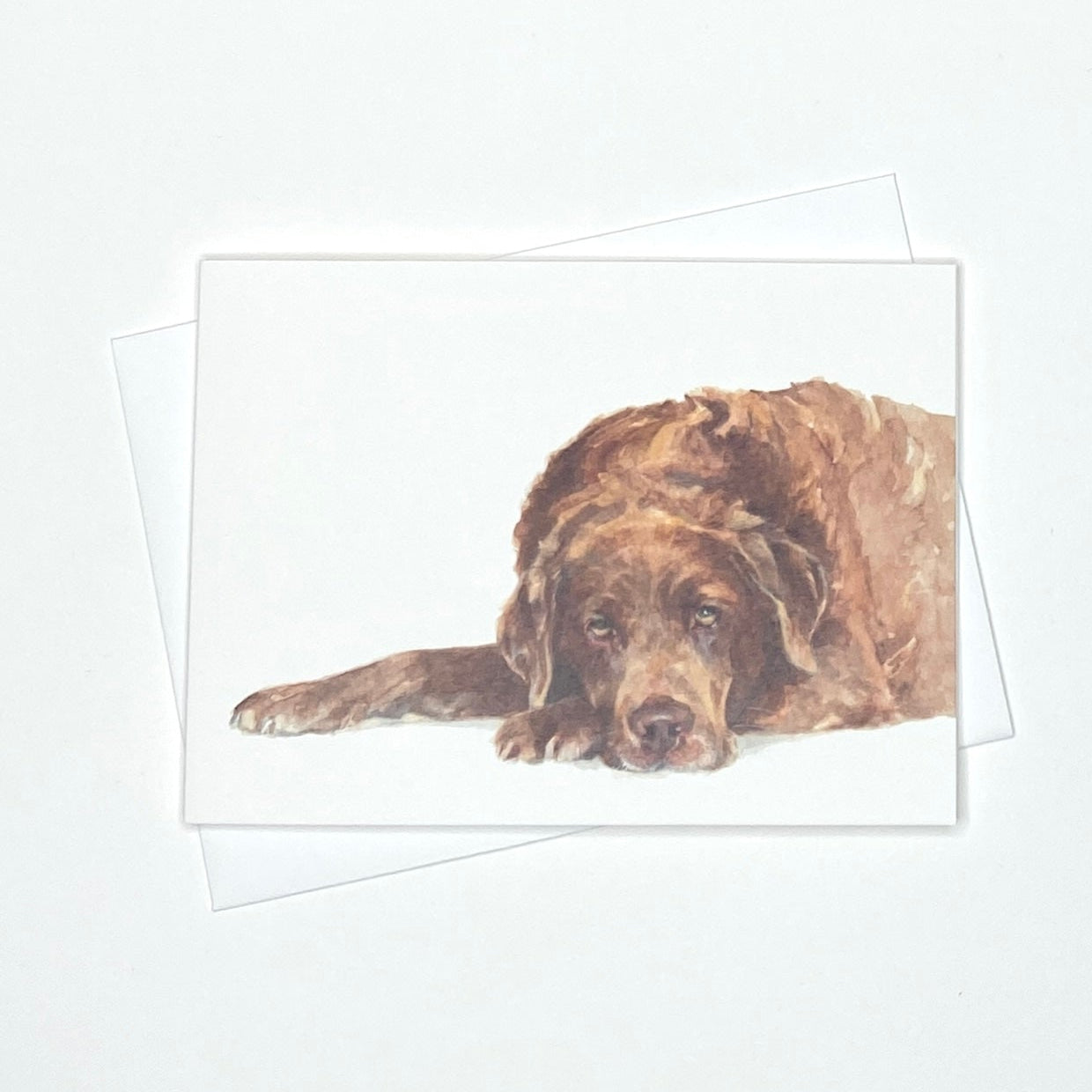 Chocolate Labrador - A6 Greetings Card