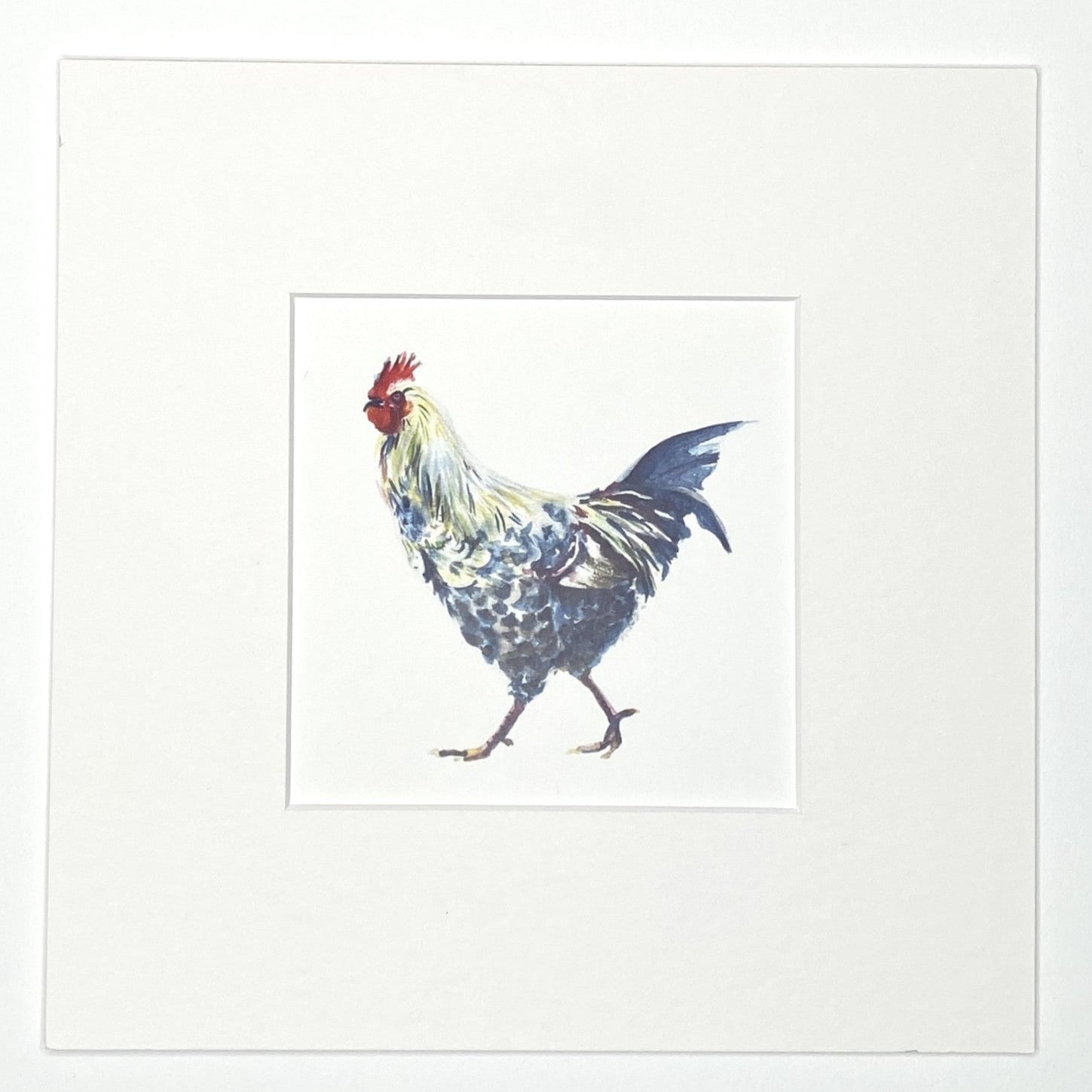 Chuck - Square Mini Print