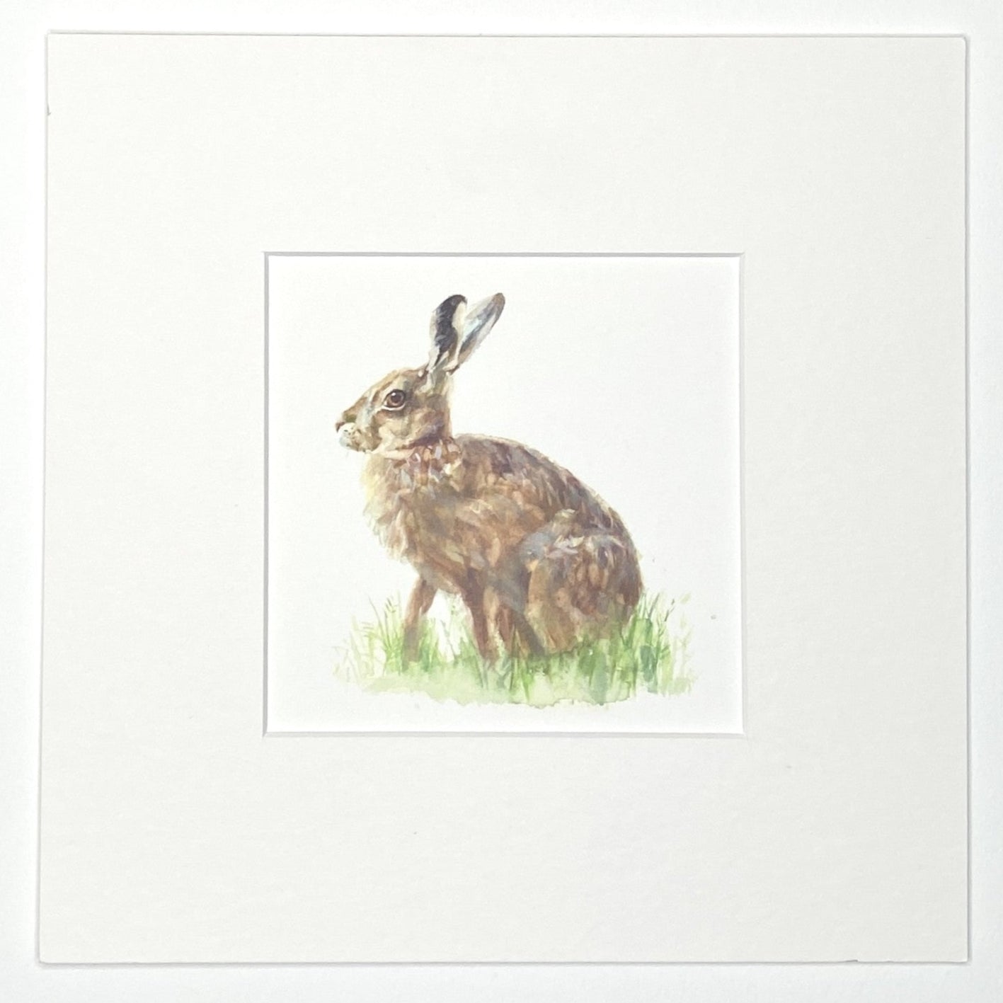 Hare - Square Mini Print