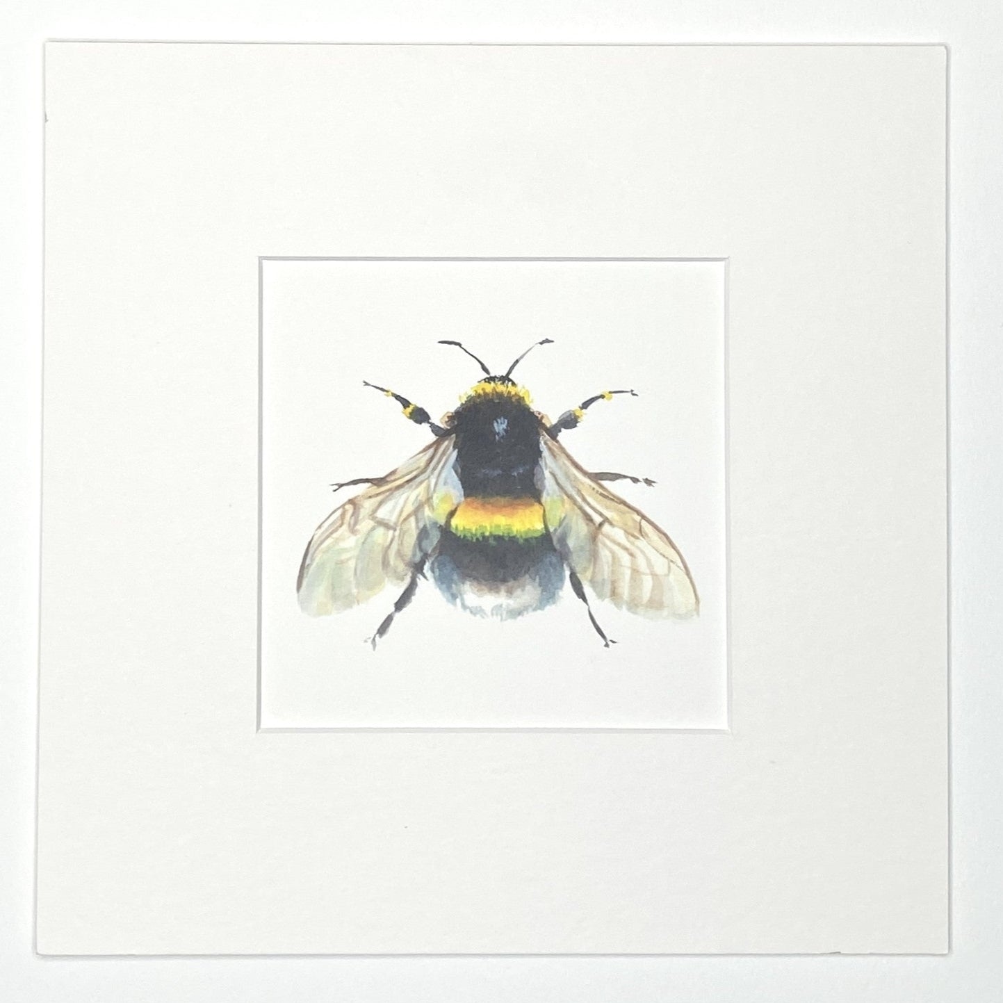 Bumble Bee - Square Mini Print