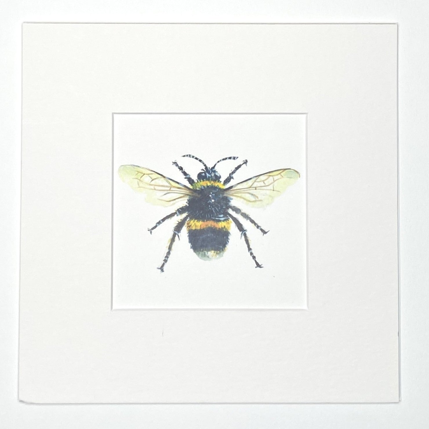 Busy Bee - Square Mini Print