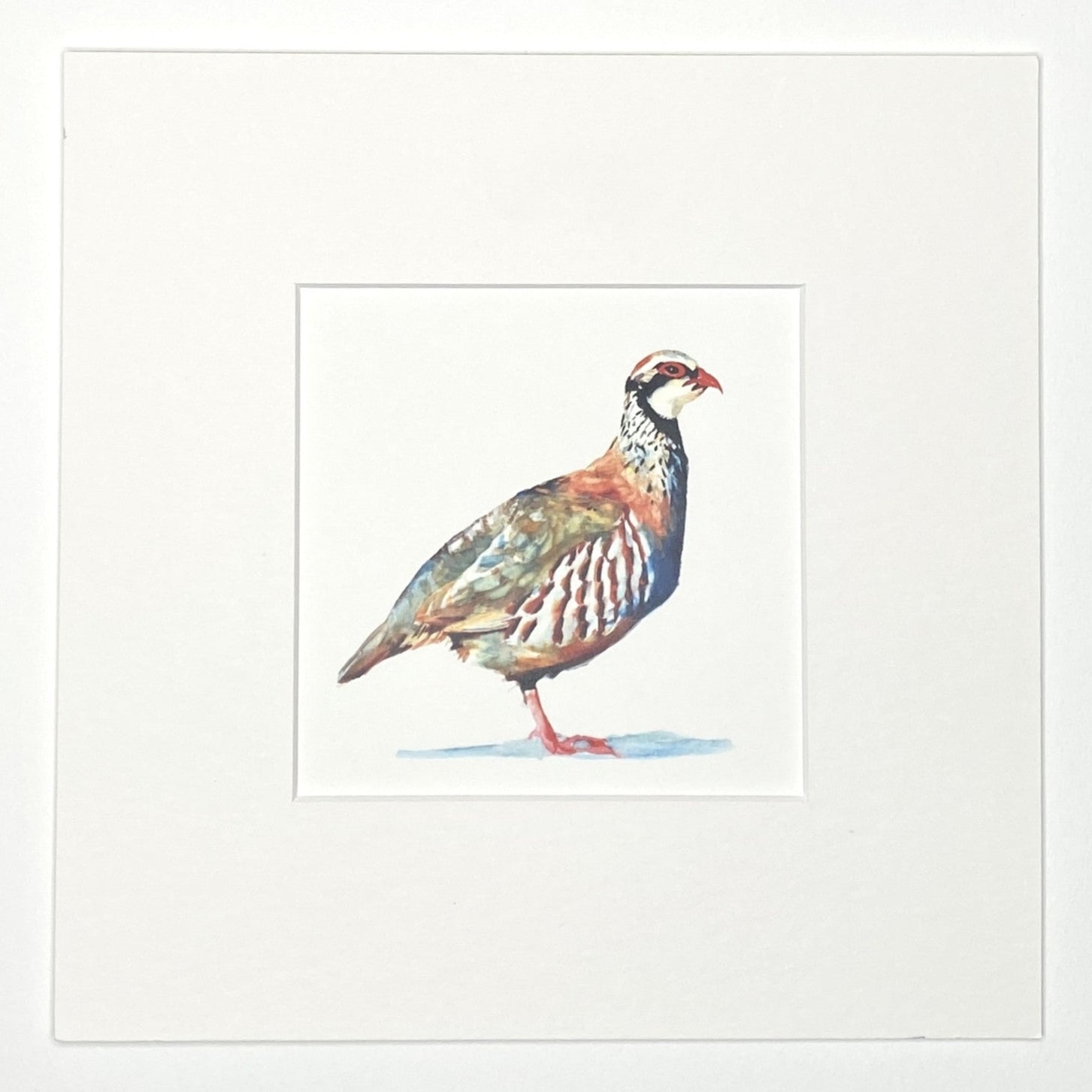 Partridge - Square Mini Print