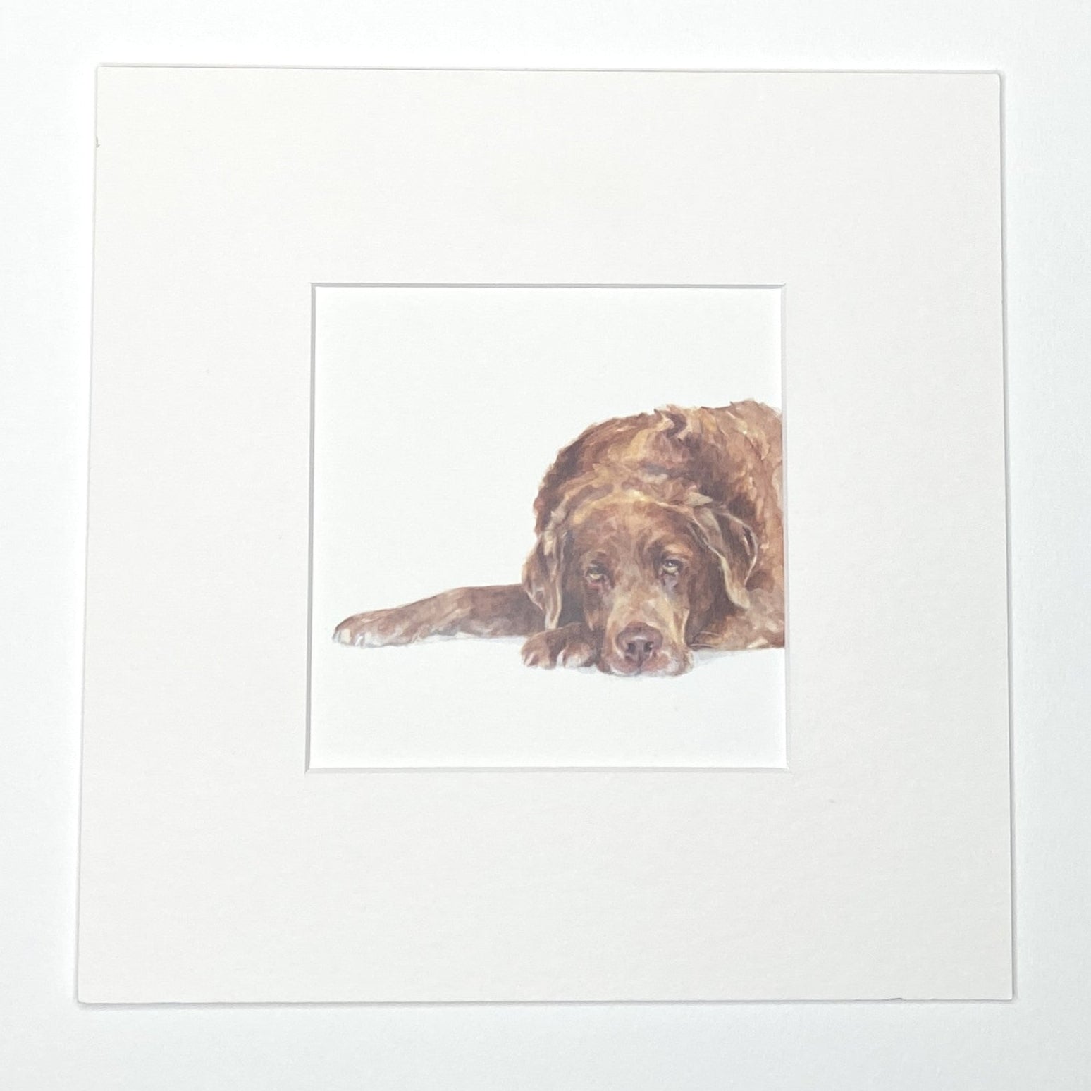 Chocolate Labrador - Square Mini Print